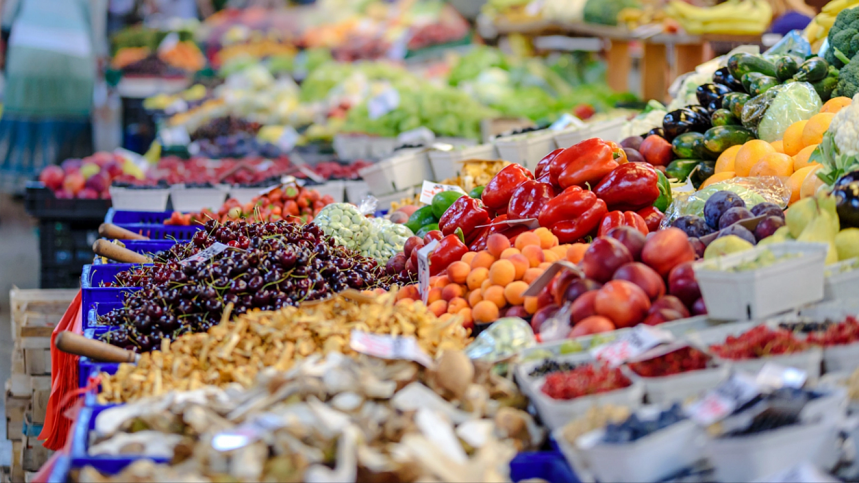 Malatya'da İş Bulmak Kolaylaştı! En Çok Talep Gören 10 Meslek Belli Oldu!