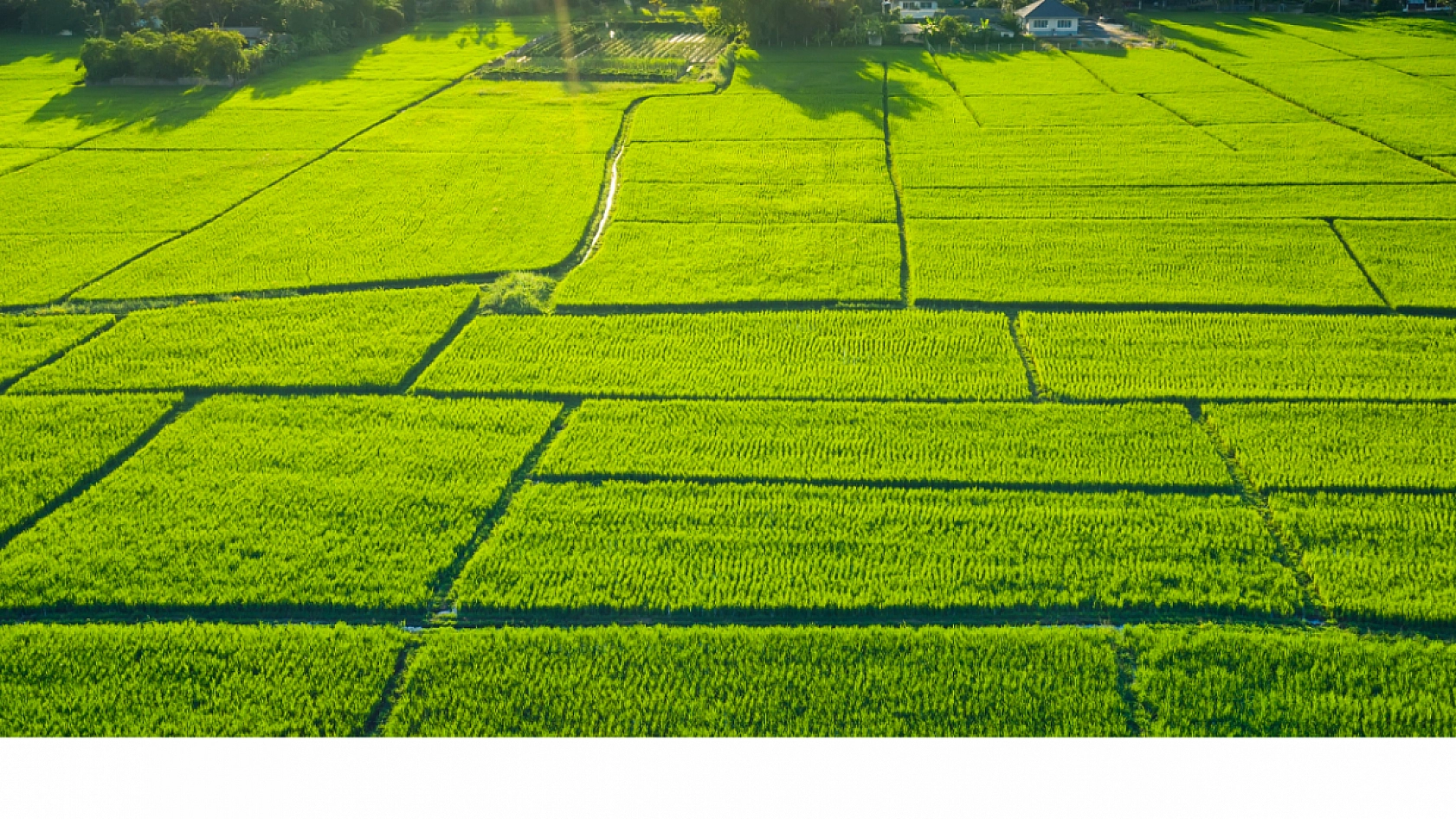 Bölgesel Kalkınma İçin Dev Adım: Malatya'da Arsalar Satışa Çıkarılıyor!