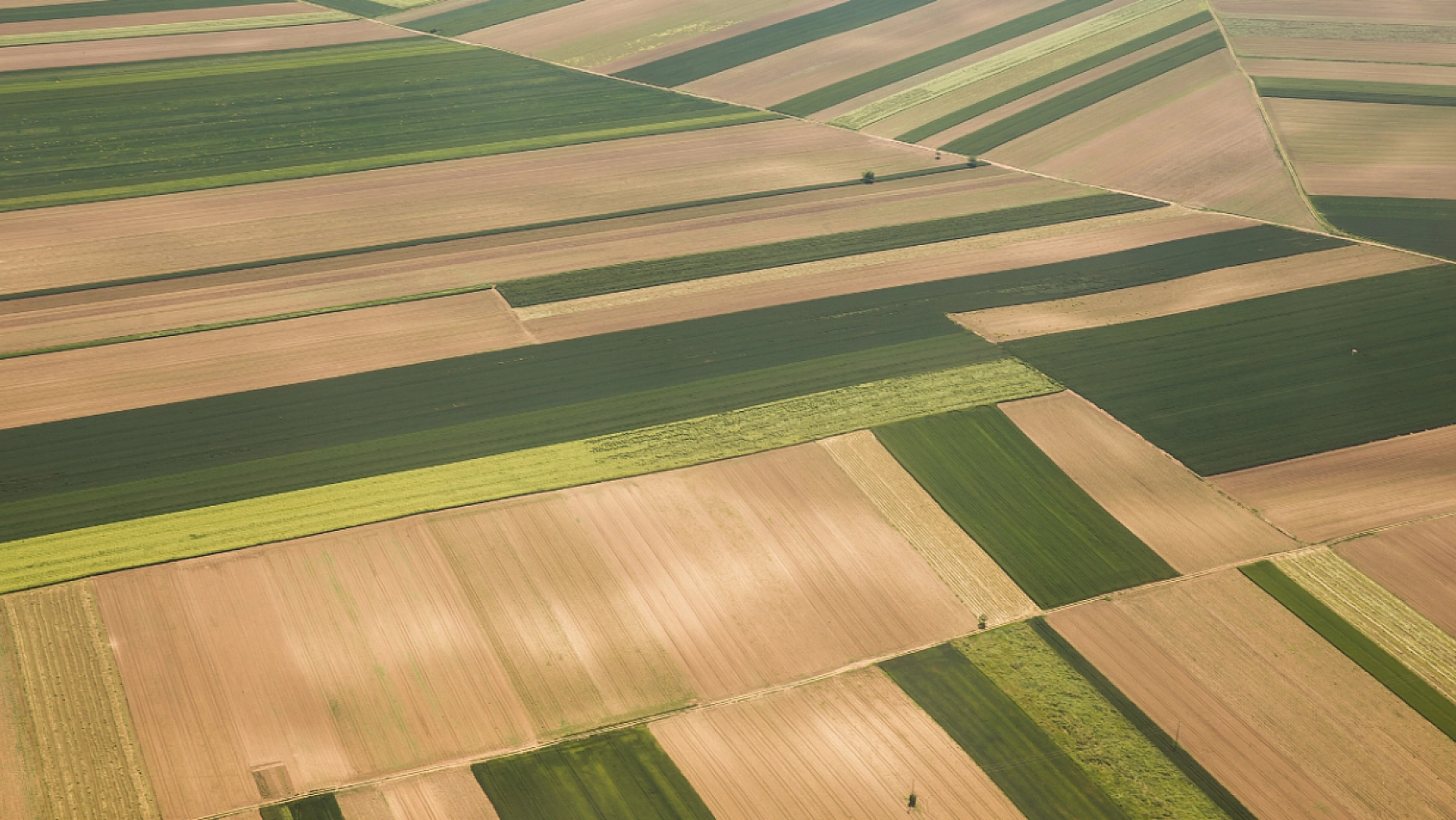 Bölgesel Kalkınma İçin Dev Adım: Malatya'da Arsalar Satışa Çıkarılıyor!