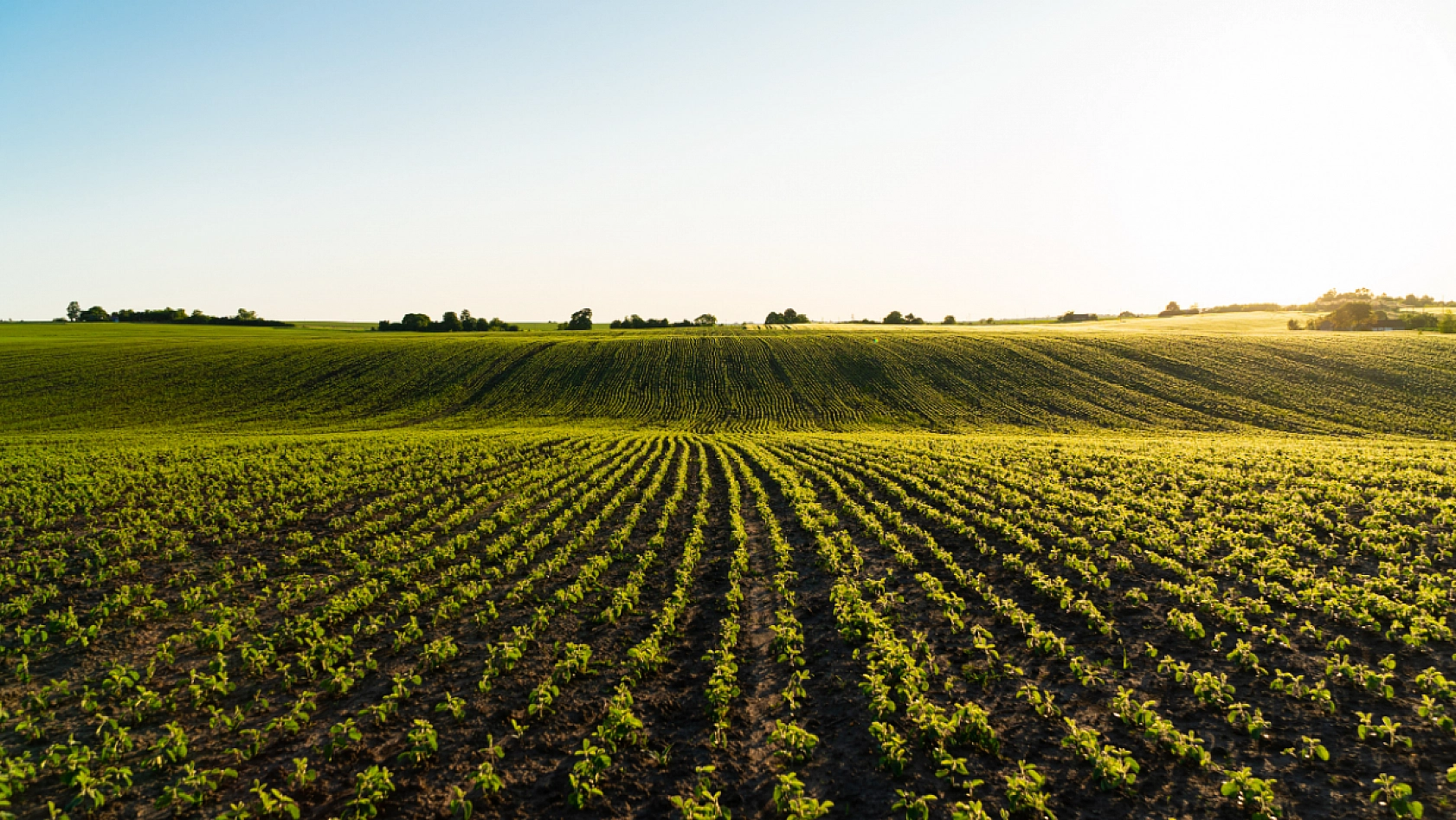 Bakanlık duyurdu! Destekleme ödemesi hesaplarda!