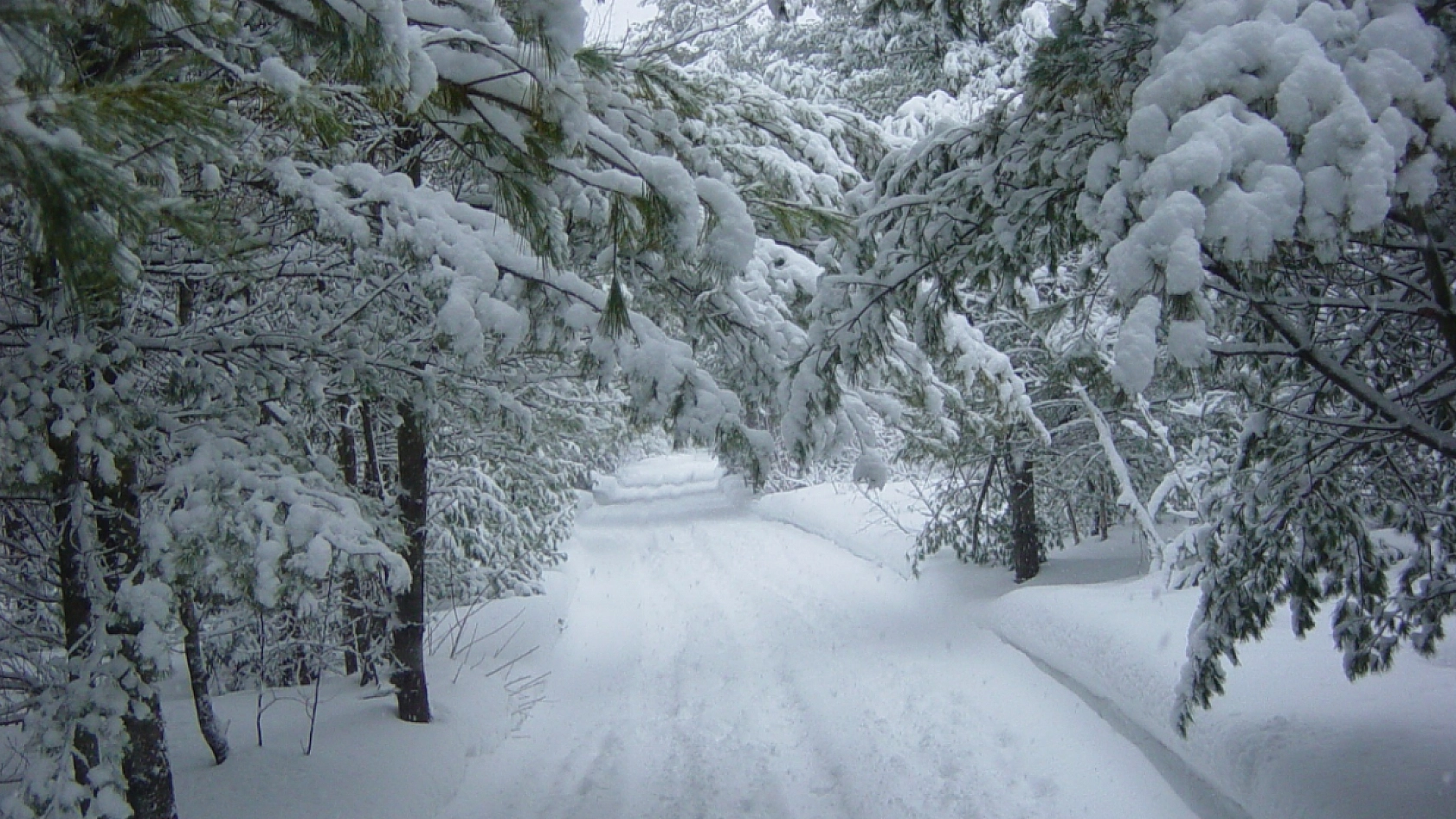 Malatya'da Hafta Sonu Kar Yağacak Mı? İşte Yanıtı…