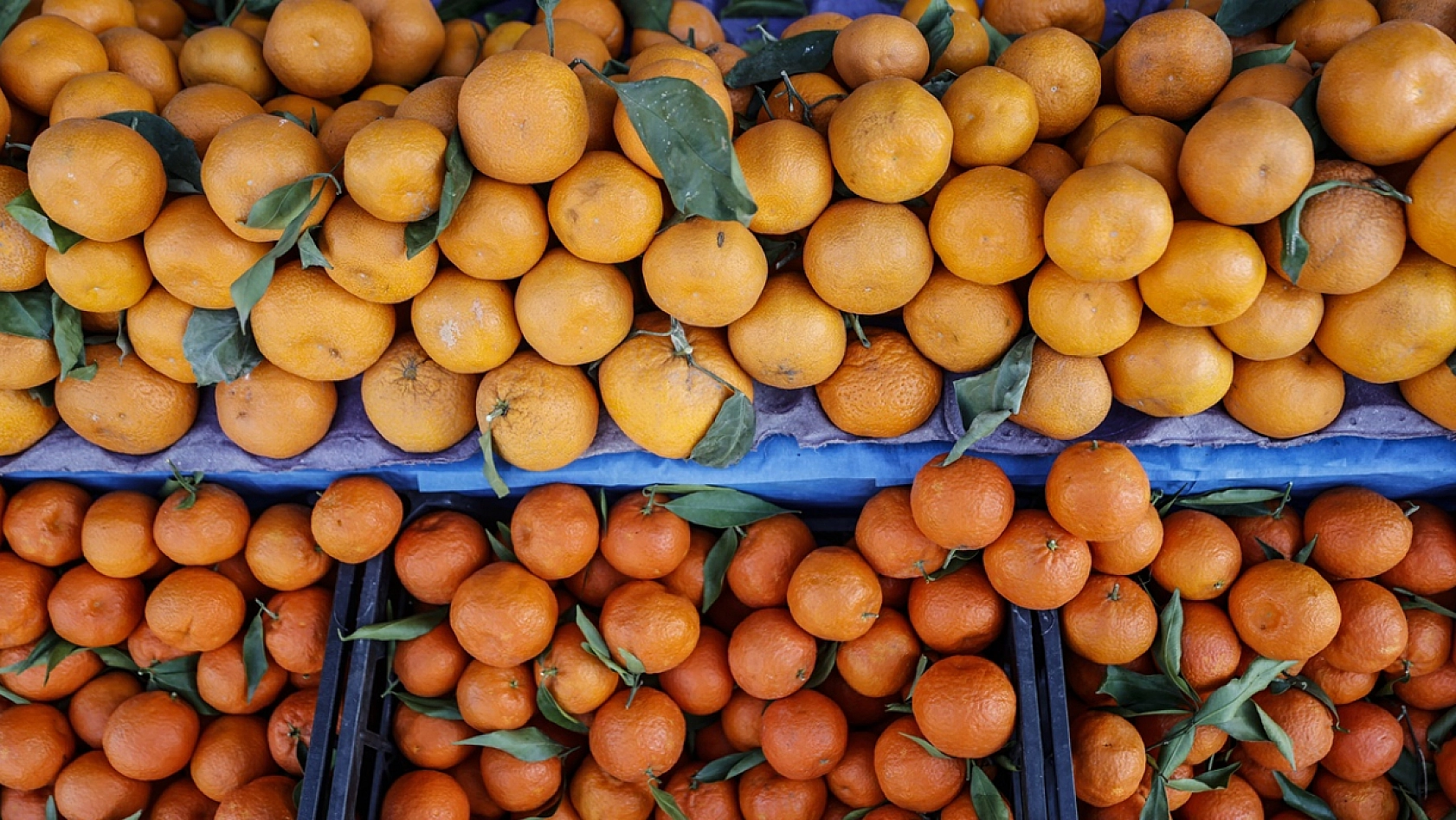 Malatya'da en çok kazandıran meslek belli oldu