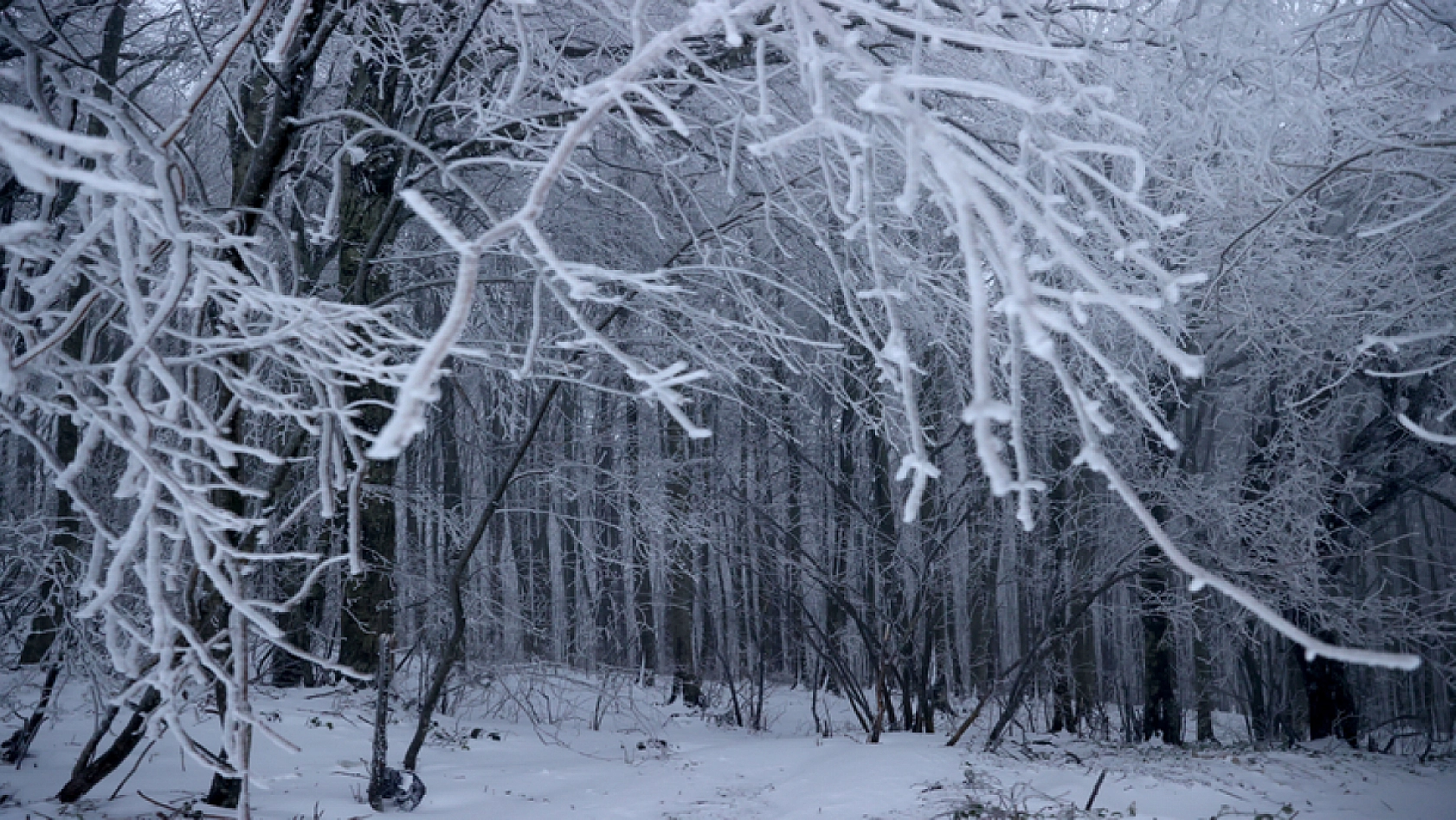 Malatya'da Yağış İçin Saat Verildi: Hazırlıklı Olun...!