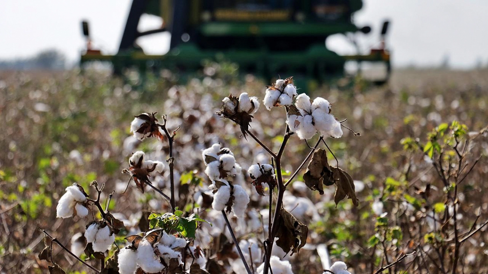 Malatyalılar Dikkat! Başvurular Başladı!