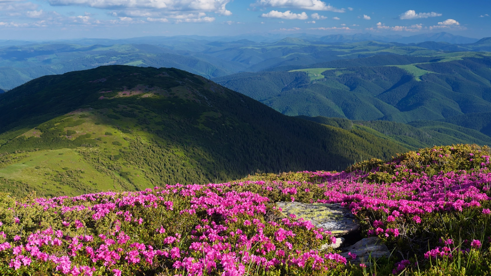 Malatya'da hava sıcaklığı yükseliyor: Termometre 35 dereceyi gösterecek