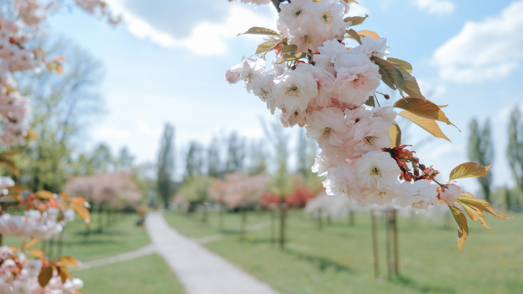 Malatya'da termometreler yükseliyor! Sıcaklık 27 dereceye kadar çıkacak....