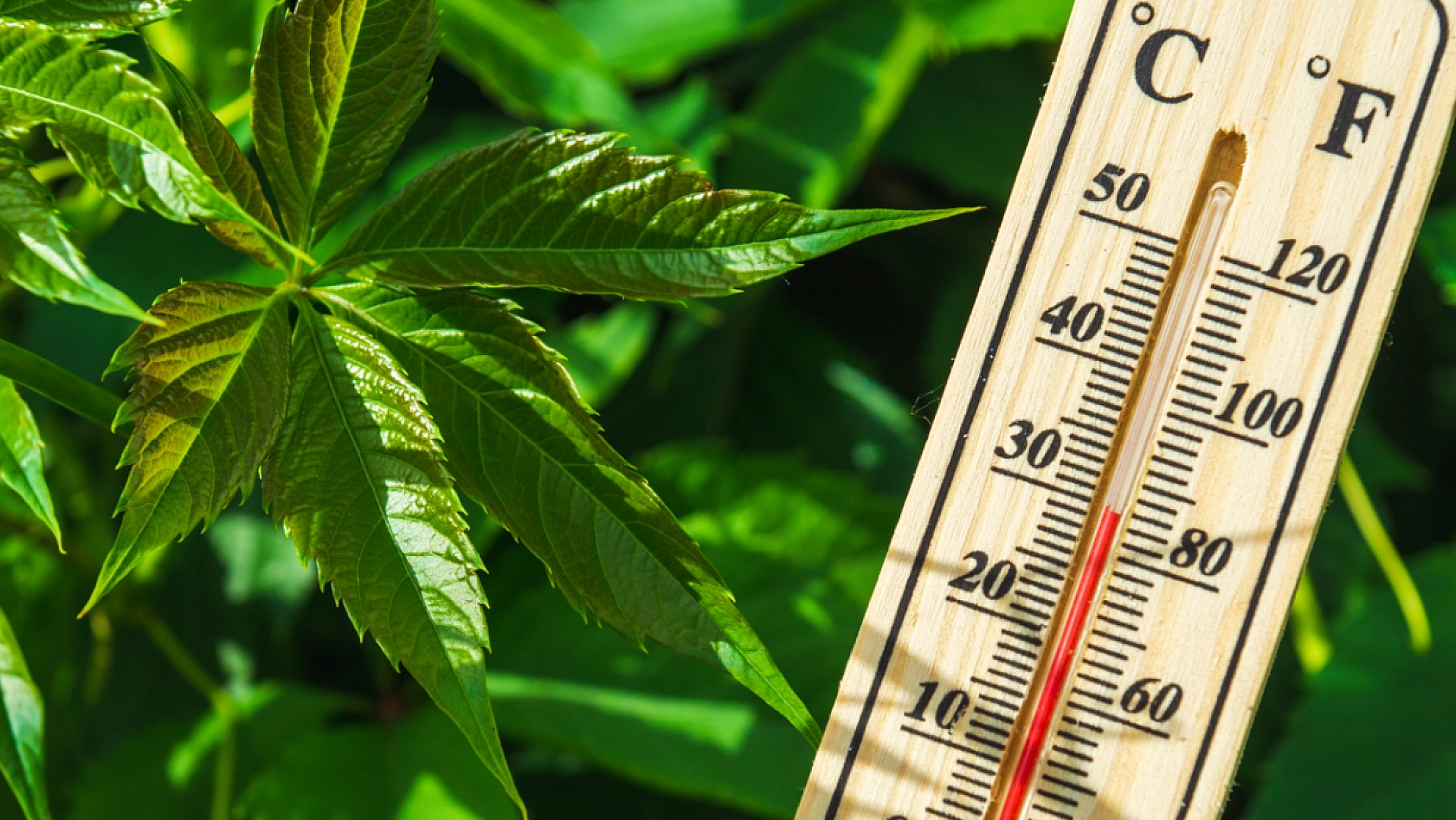 Malatya'da aşırı sıcak uyarısı: 11.00–16.00 arası dışarı çıkmayın