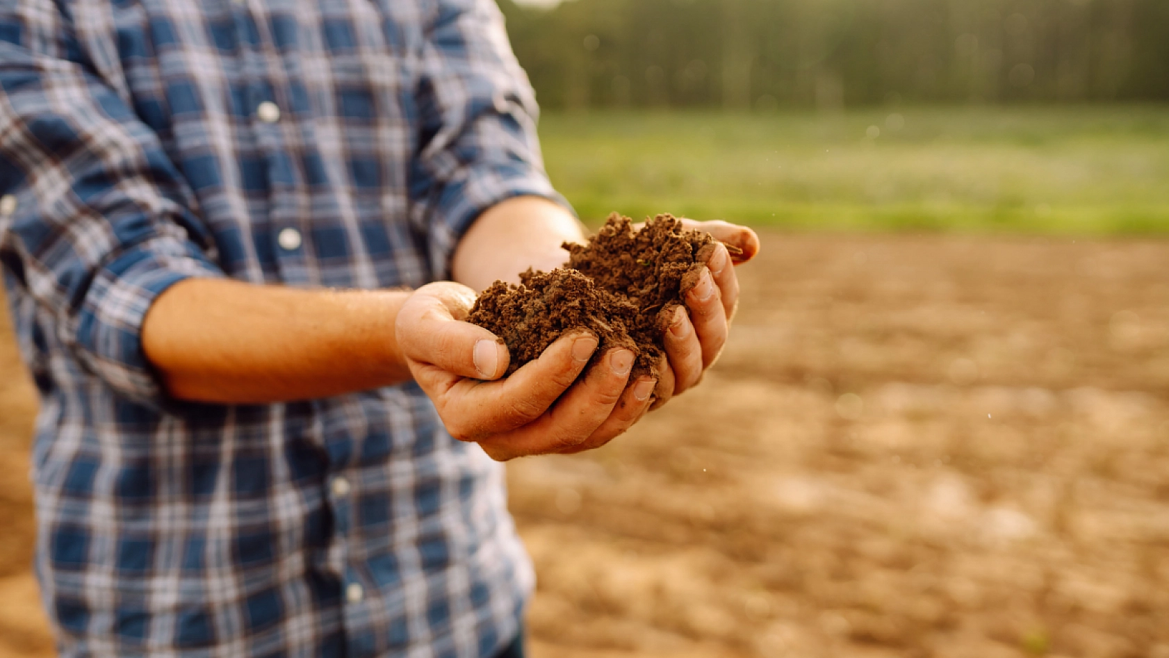 Malatya'da hangi ürüne hibe desteği verilecek? İlçe ilçe açıklandı