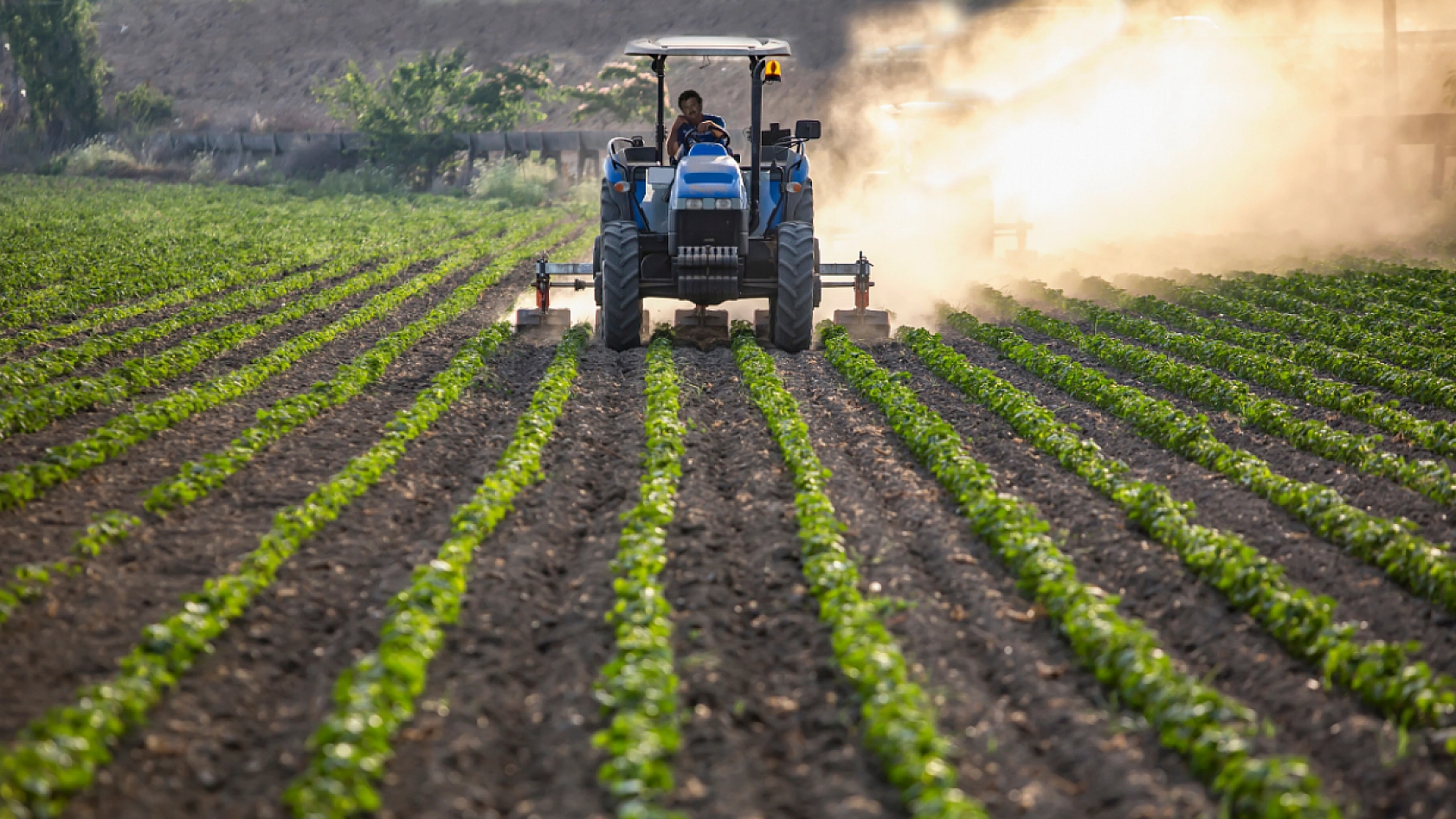 Malatya'da hangi ürüne hibe desteği verilecek? İlçe ilçe açıklandı