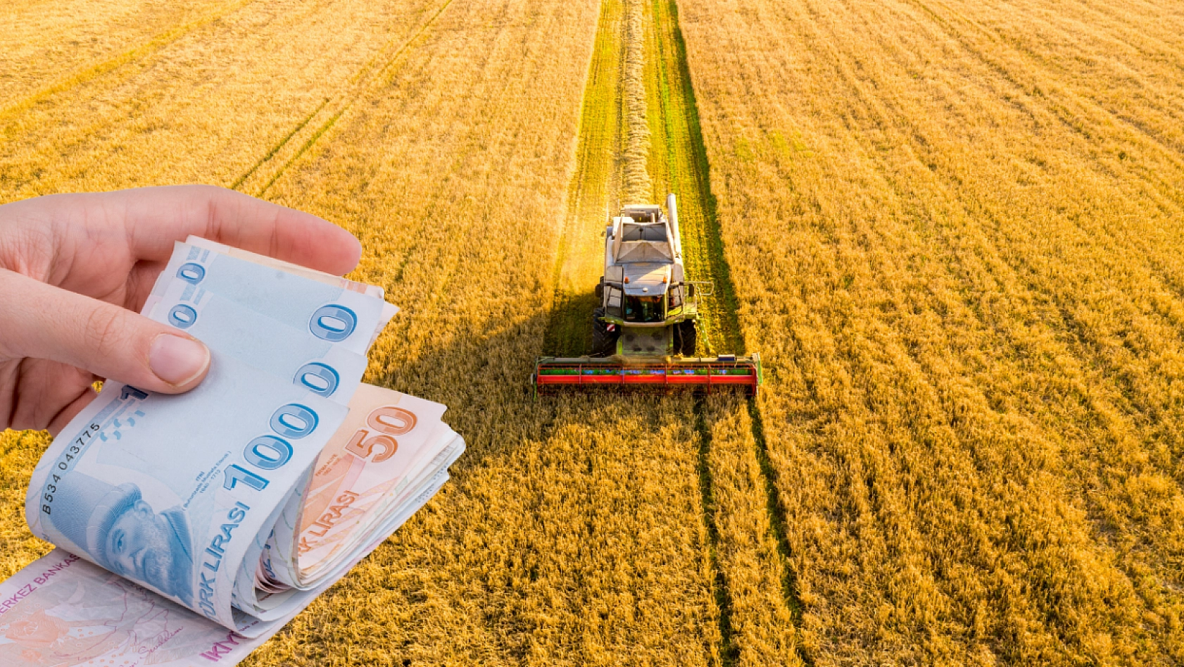 Malatya'da hangi ürüne hibe desteği verilecek? İlçe ilçe açıklandı