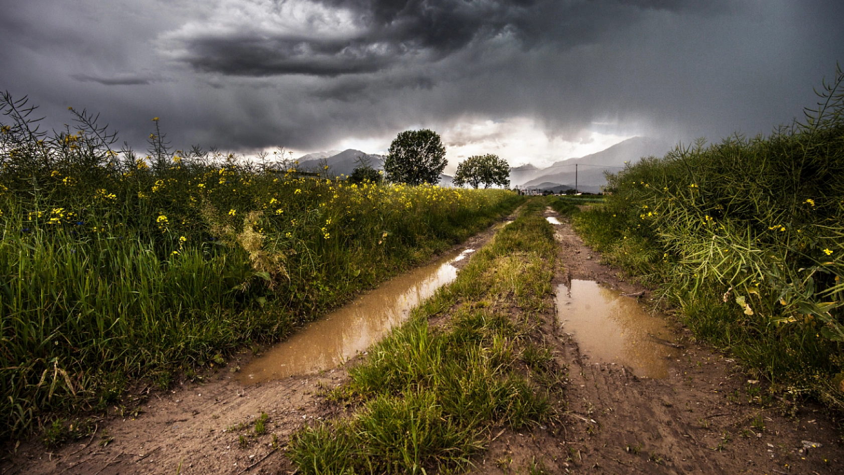 Meteoroloji uyardı: Malatya'da bugün yağış var mı?! İşte 13 Haziran 2025 hava durumu tahminleri…