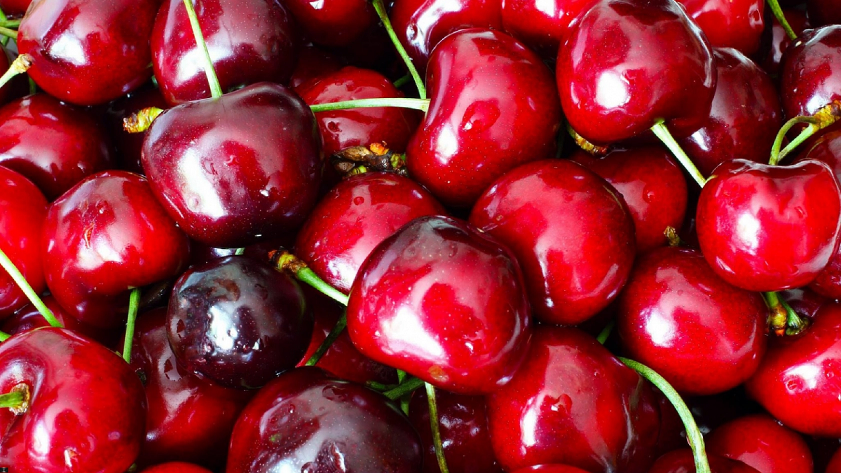 Avrupa'da yasak bizde onaylı! Dalbastı Kirazı için tehlike çanları mı çalıyor?