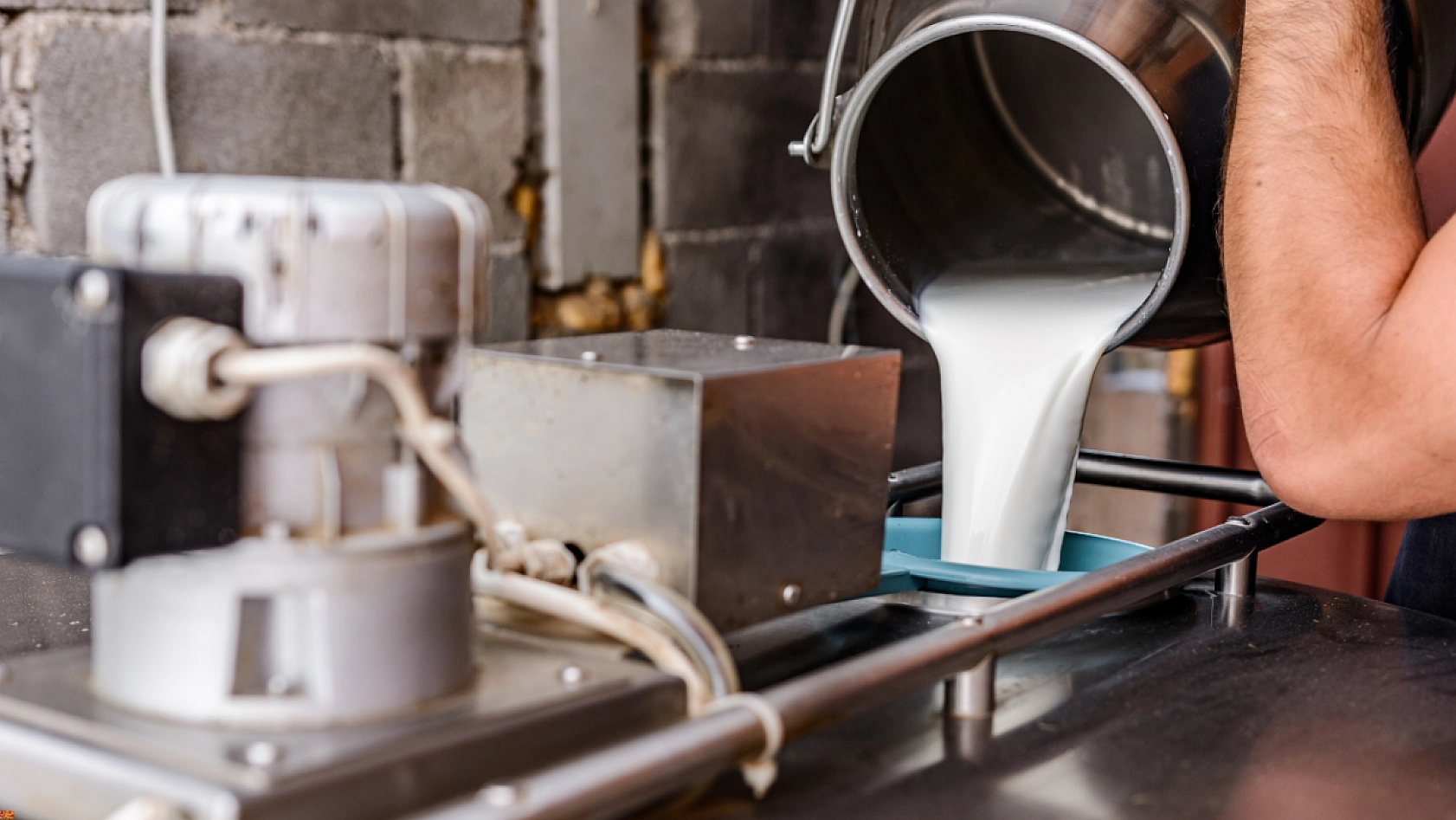 Malatya'da çiğ süt fiyatları belli oldu