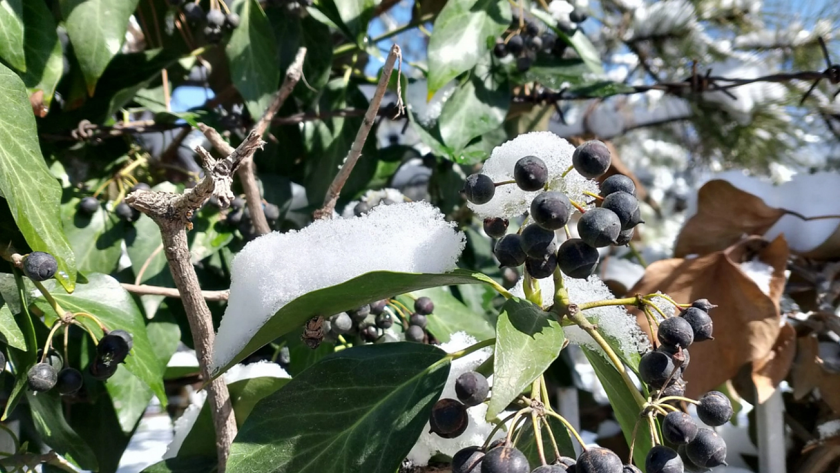 Nisan ortasında kar sürprizi: Malatyalılar baharı beklerken kar geldi!