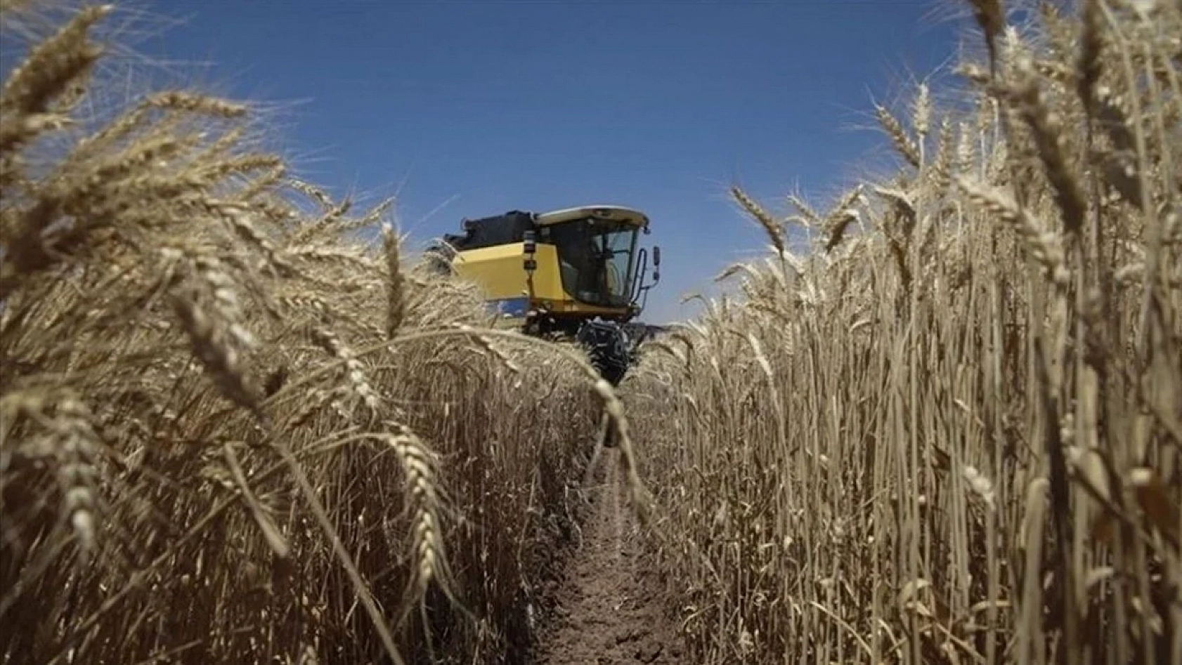 Malatya'da çiftçilere 2 milyar 789 milyon 974 bin 500 TL'lik destek ödemesi