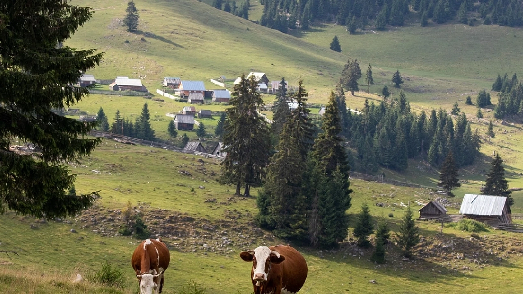 Malatyalılar Dikkat: Ev Yapma Fırsatı Uzatıldı! İşte Detaylar…