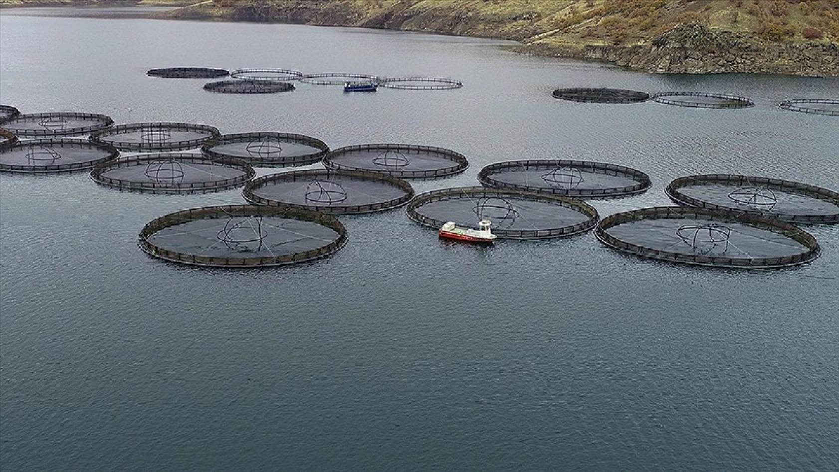 Ekim Ayında Malatya'nın Yüzü Güldü: Kasa Dolmaya Başladı!