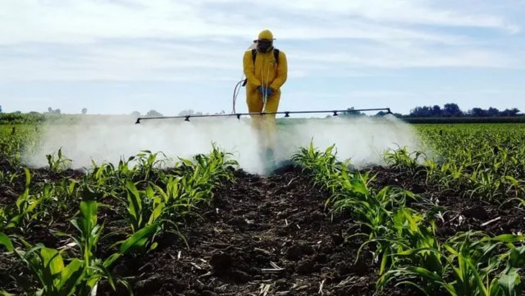 Sofralar artık daha tehlikeli: Her 3 üründen biri pestisit içeriyor! Peki, en fazla hangi ürünlerde bulunuyor?
