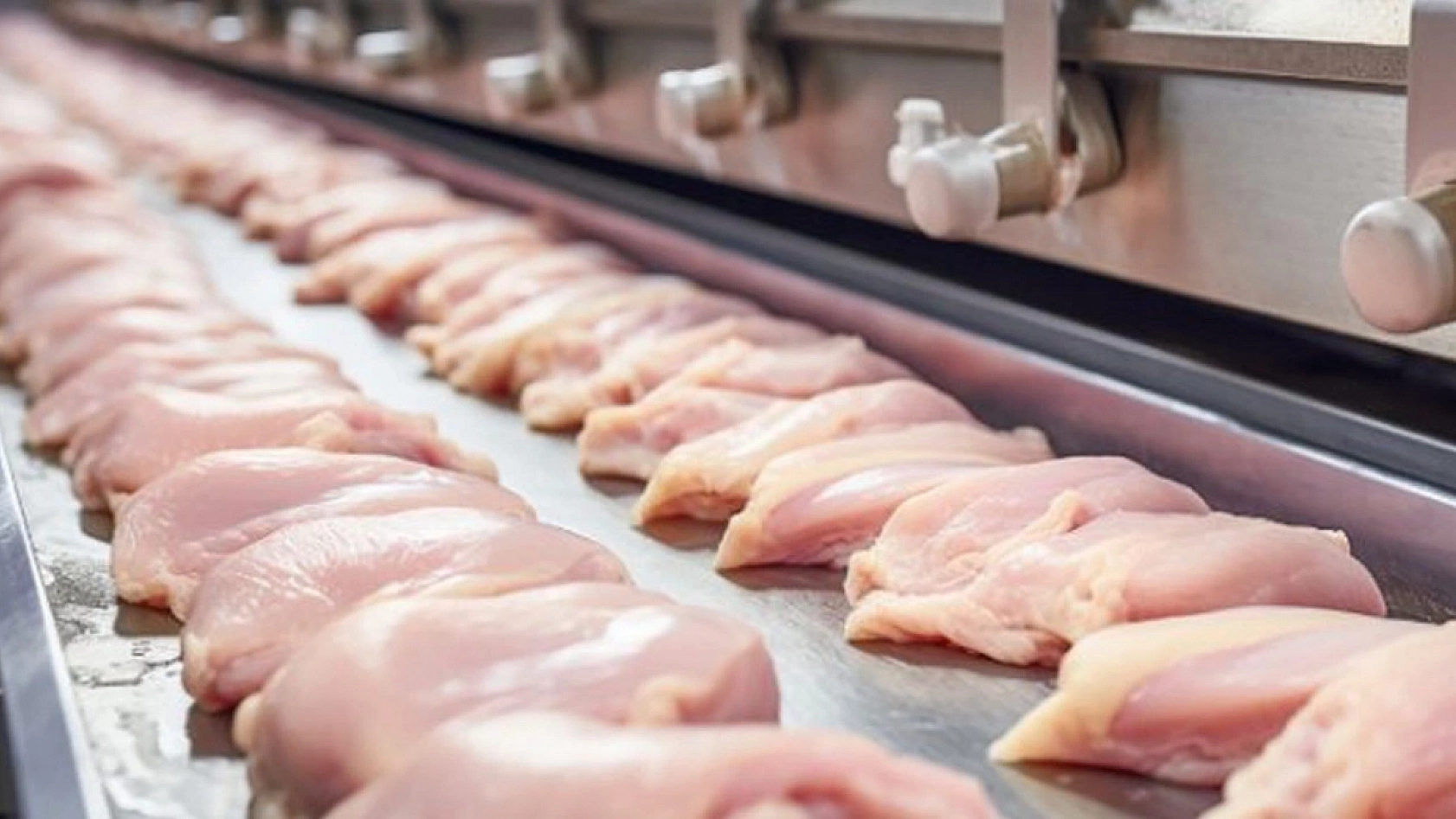 Üretimde Büyük Artış: Sofralarda Daha Fazla Göreceğiz!