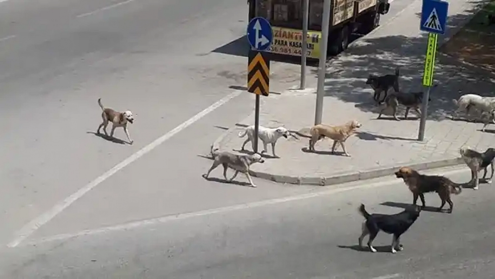 Vali Uyardı: Bu Görev Belediyelerin!