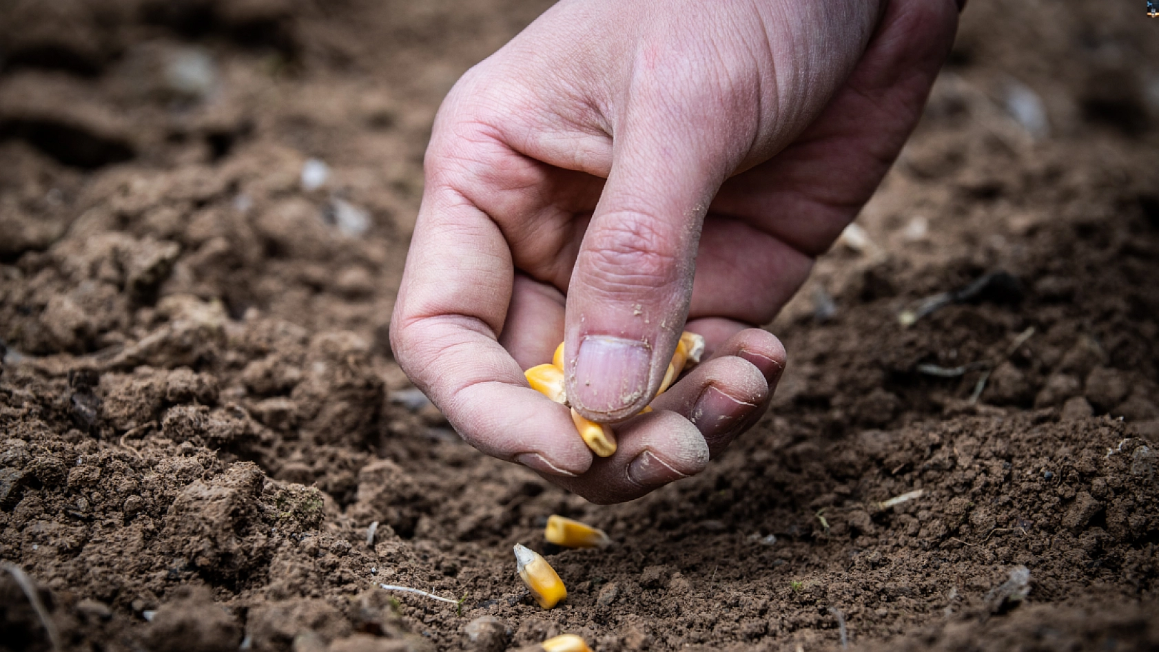 Bakan rakamlarla açıkladı! Türkiye'de tarım bitiyor mu?