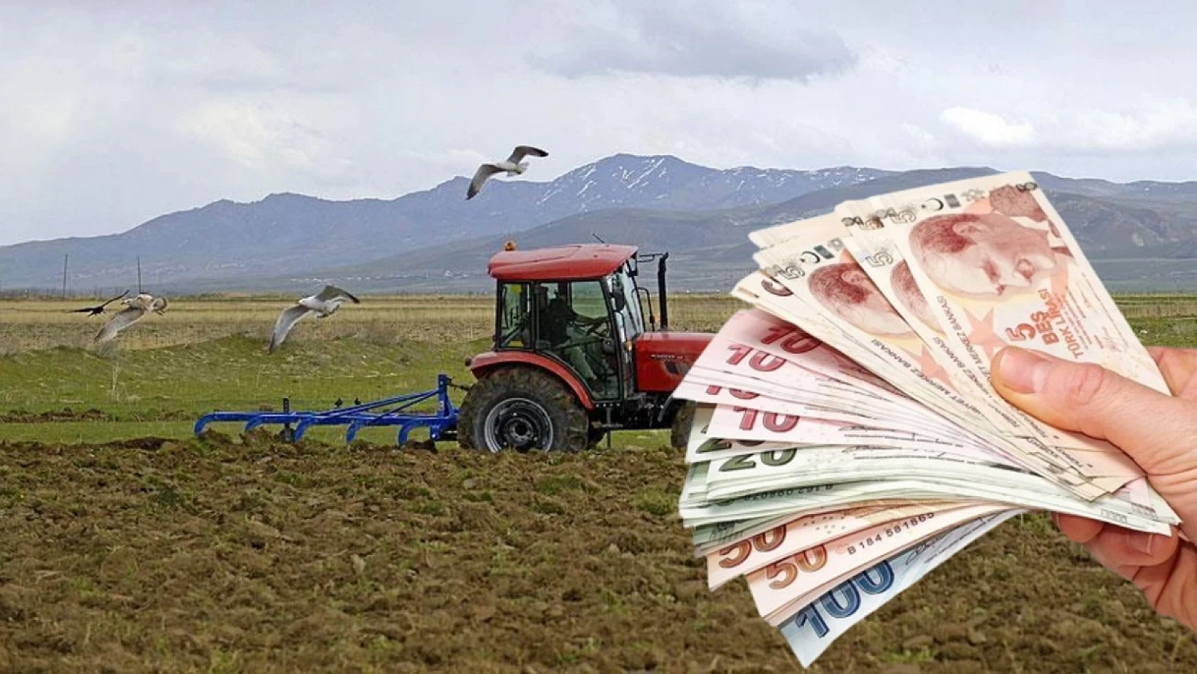 Malatya Çiftçisine Destek Yağmuru: Hesaplara Bugün Aktarılıyor…