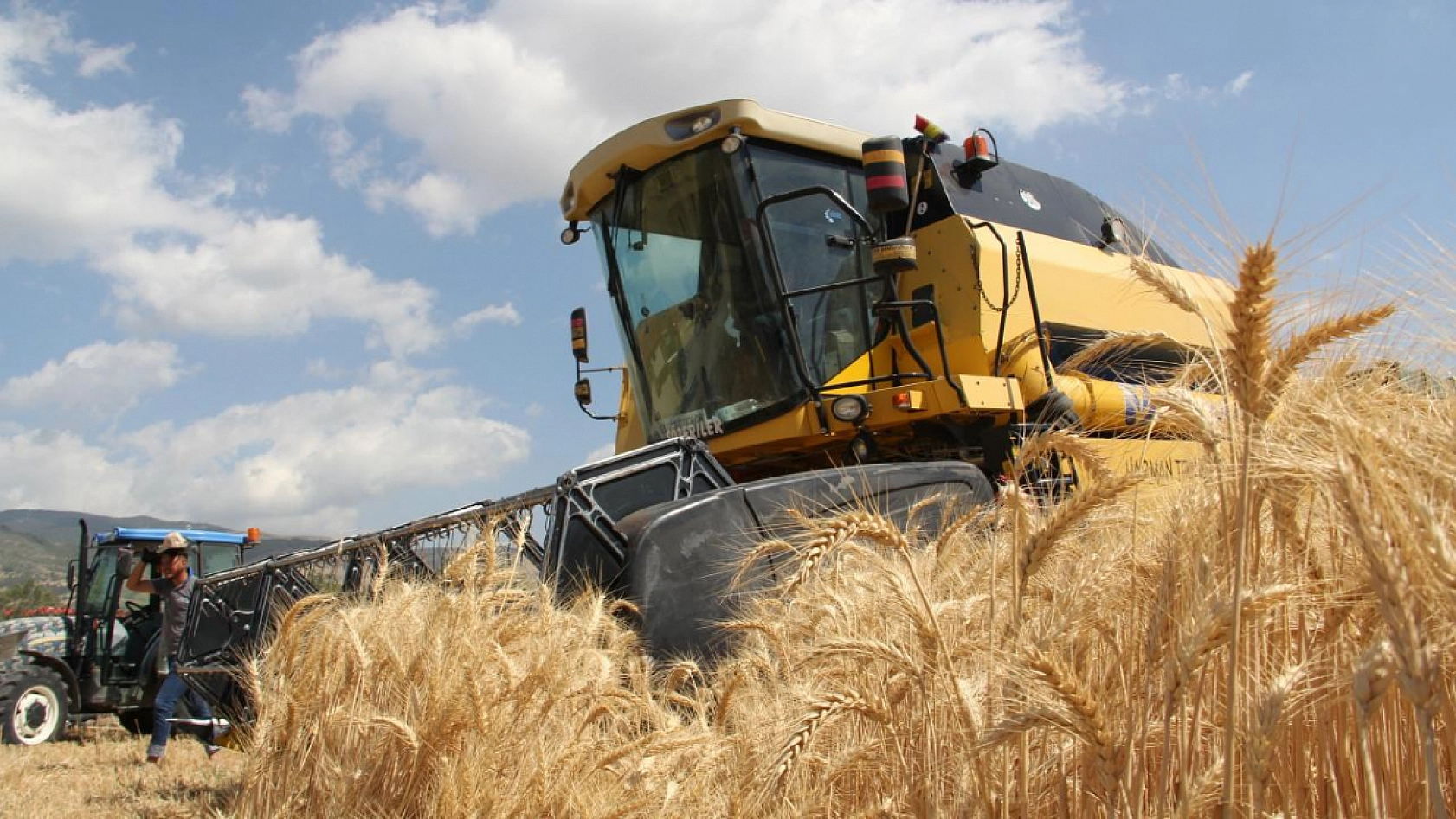 Uzmanı uyardı: Buğday Ekimleri Artık O Ayda Yapılmalı!