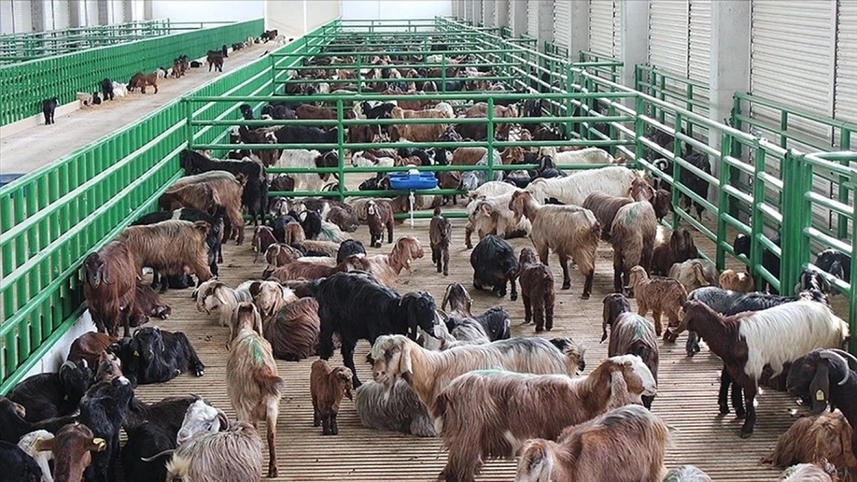 Bakanlık Tescilledi: Malatyalı üreticilere 4,6 milyonluk ek kaynak