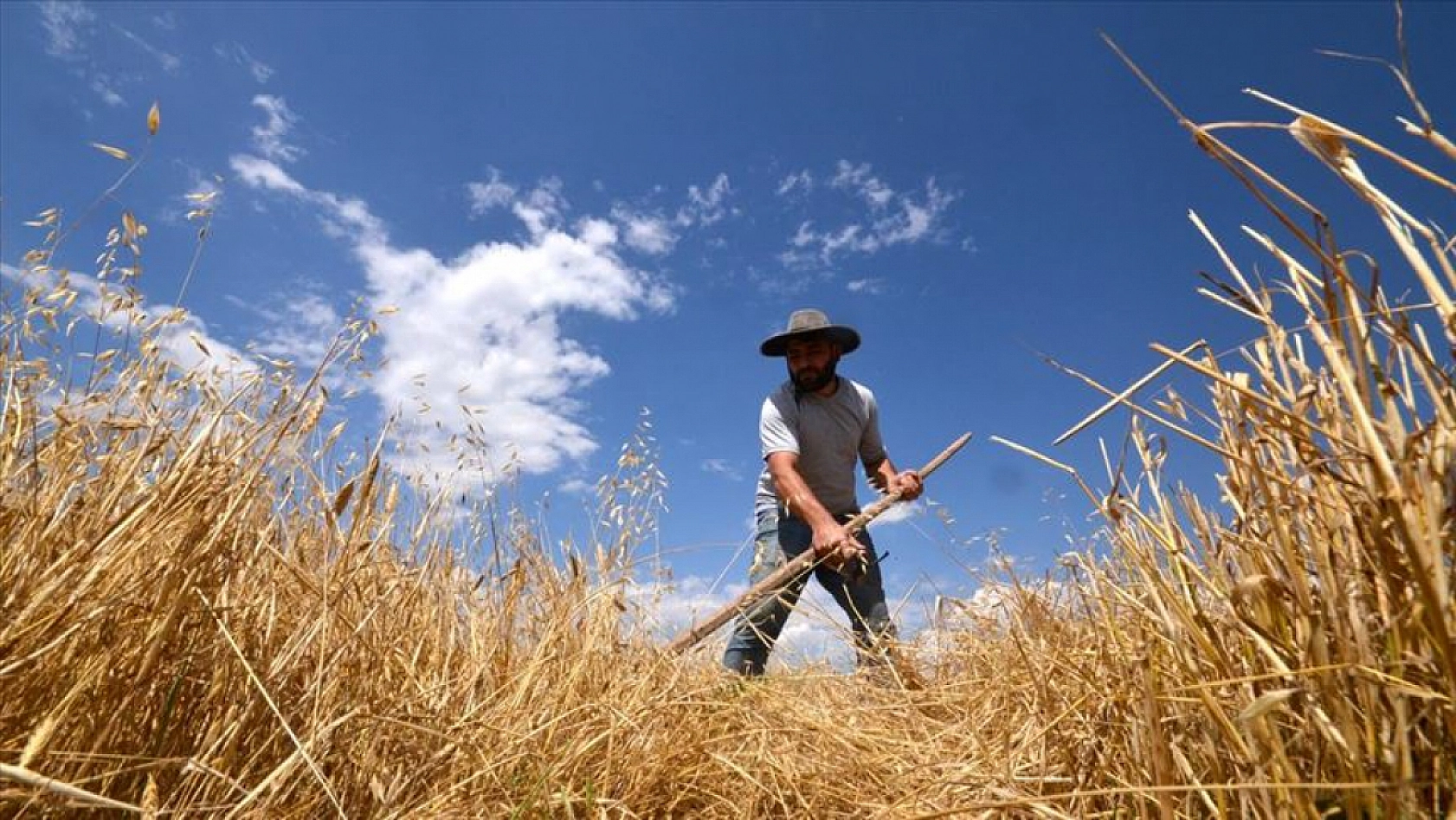 2025 hasat sezonu başladı: Biçerdöver denetimleri sıkılaştırıldı