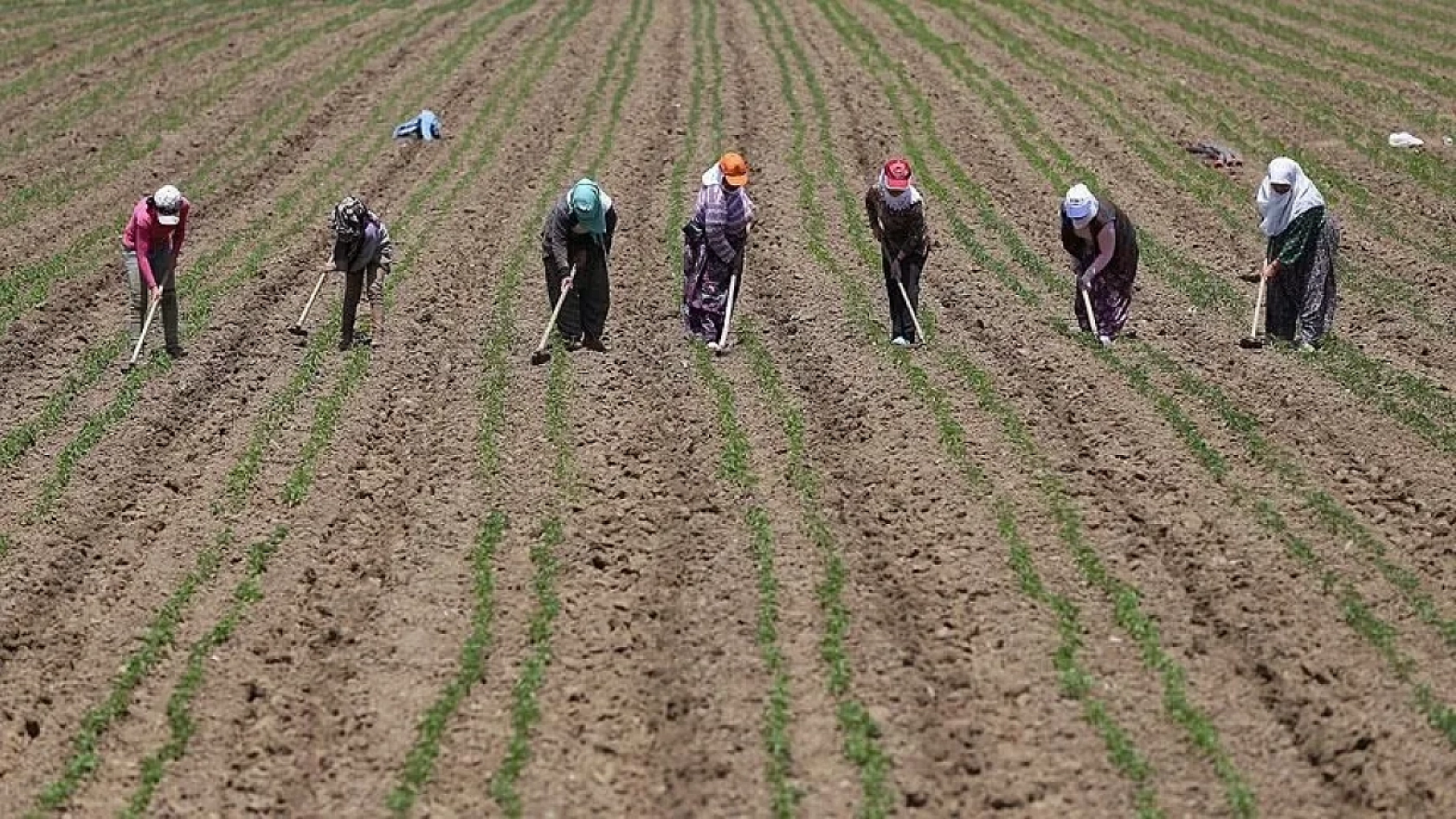 Bakan Yumaklı duyurdu! Destek ödemeleri hesaplara yatırıldı!