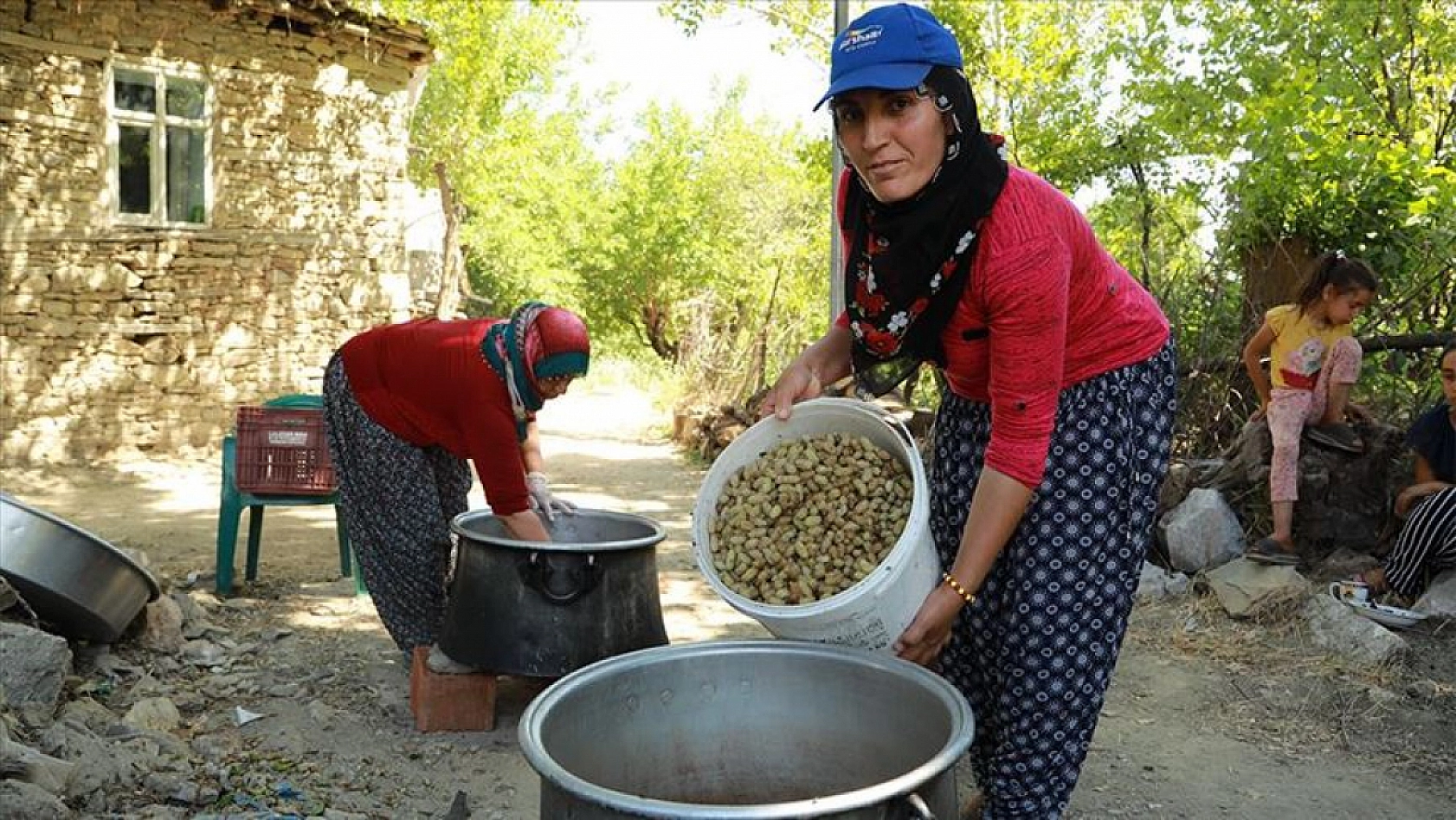 Malatya'dan sofralara uzanan şifa kaynağı!