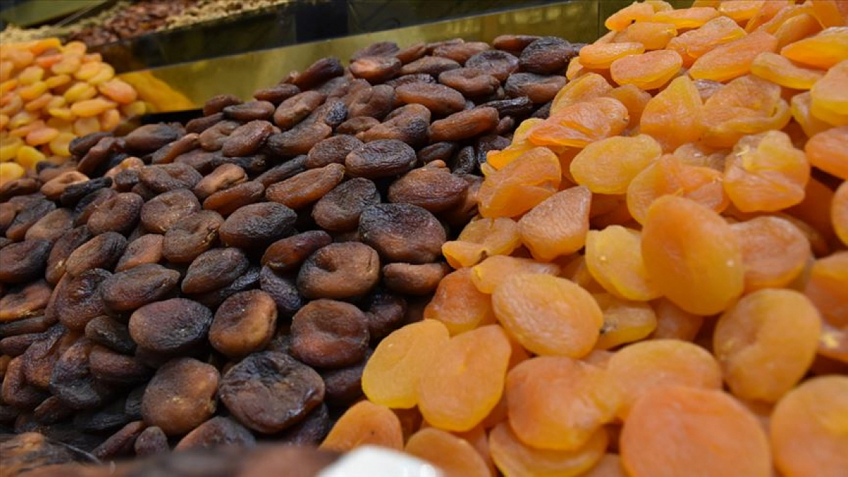 Zirai don Malatya kayısını vurdu: 2025'te 331 bin ton kayıp