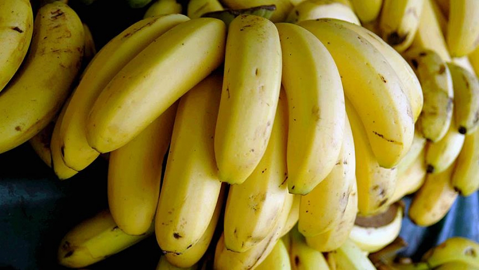 Malatya Hal Pazarı fiyatları açıklandı: Zamlar etiketlere yansıdı mı?