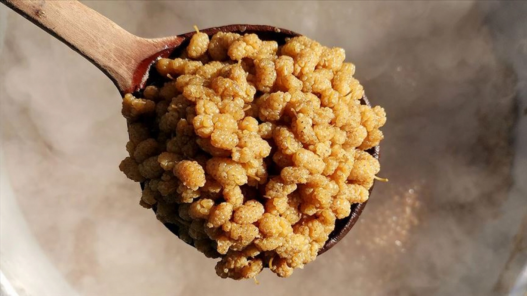 Malatya'dan sofralara uzanan şifa kaynağı!