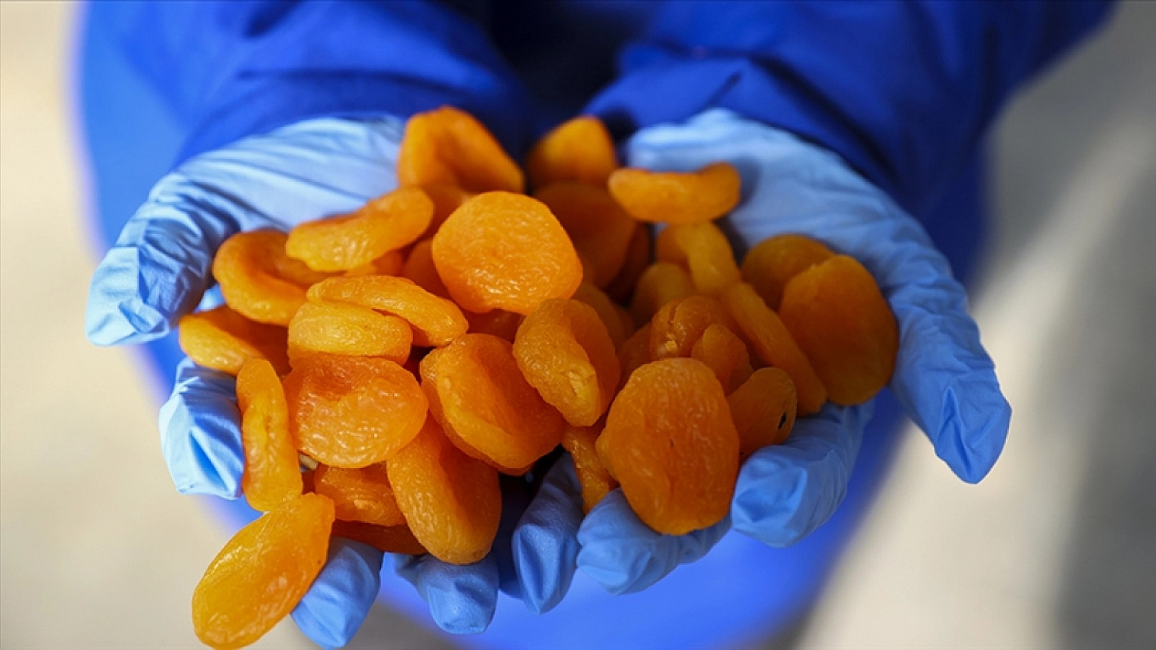 Malatya TMO Önünde İlginç Protesto! Başkan Pikapla Kayısı Sattı!