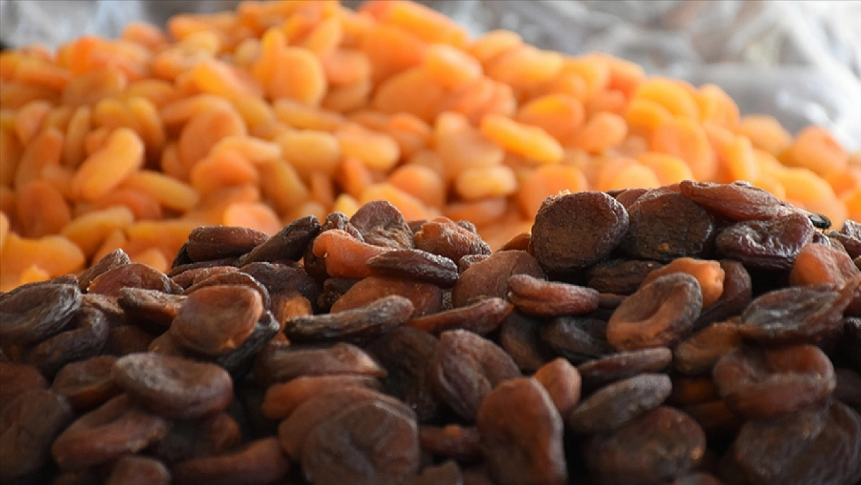 Malatya TMO Önünde İlginç Protesto! Başkan Pikapla Kayısı Sattı!