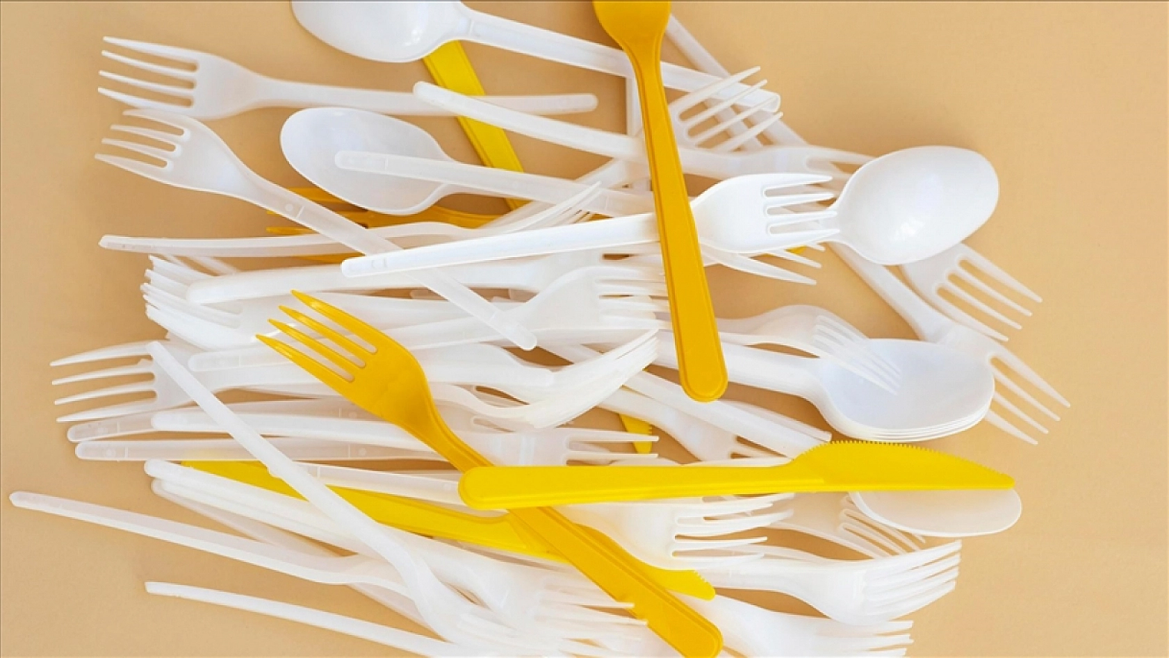 Bakanlık harekete geçti: Plastik çatal, bıçak, kaşık, tabaklar tarih oluyor...