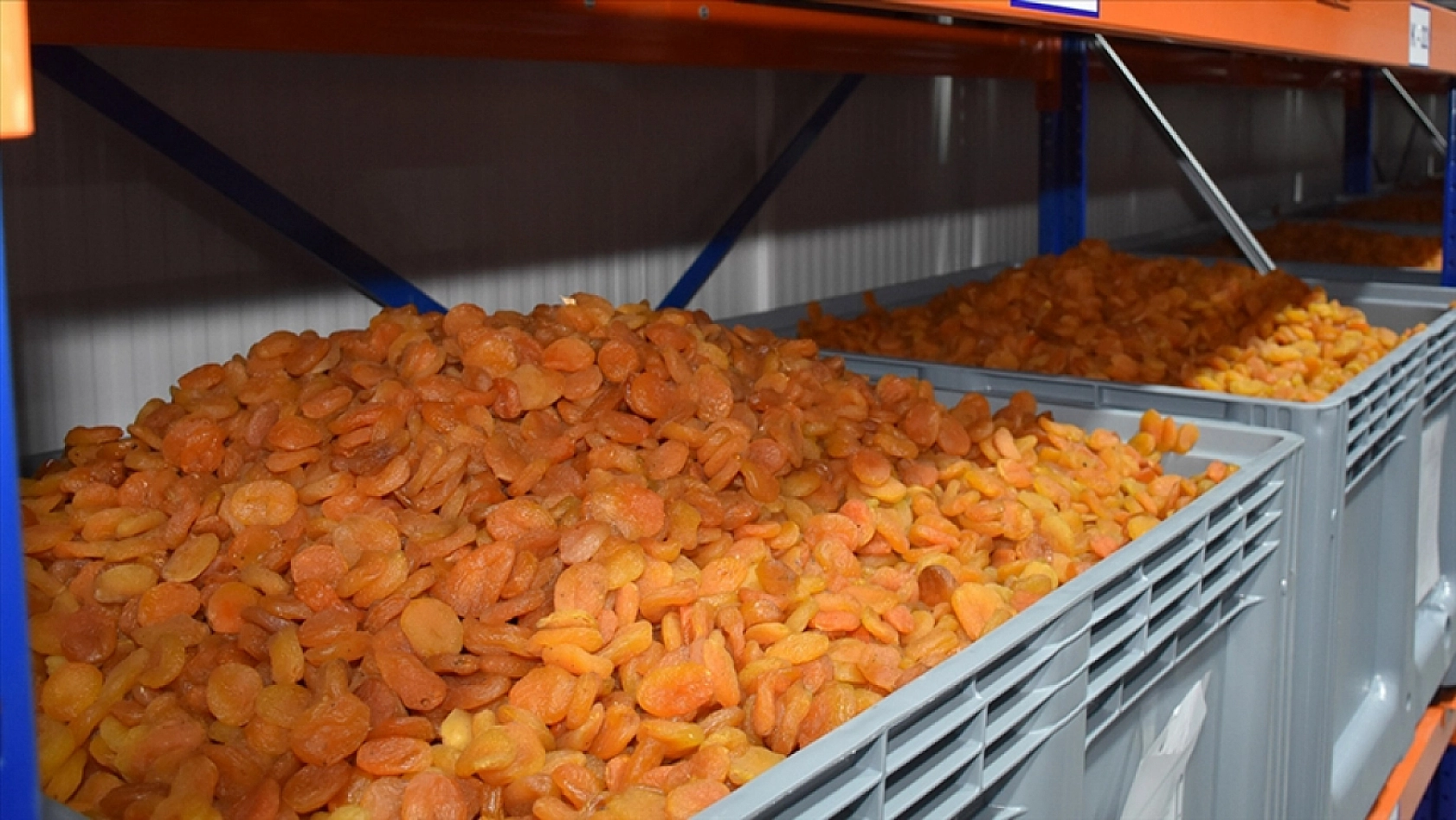 42 Bin İstihdam 30 Bine Geriledi: Malatya'nın Kaybı 120 Milyon Dolar