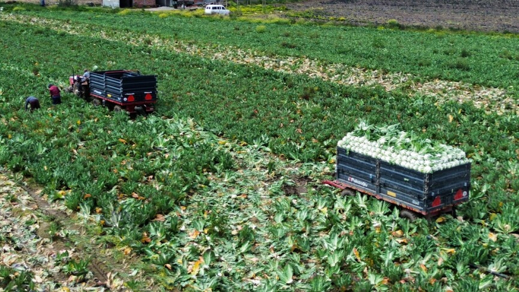 Bakan müjdeyi verdi: Ödemeler hesaplara yatırıldı…