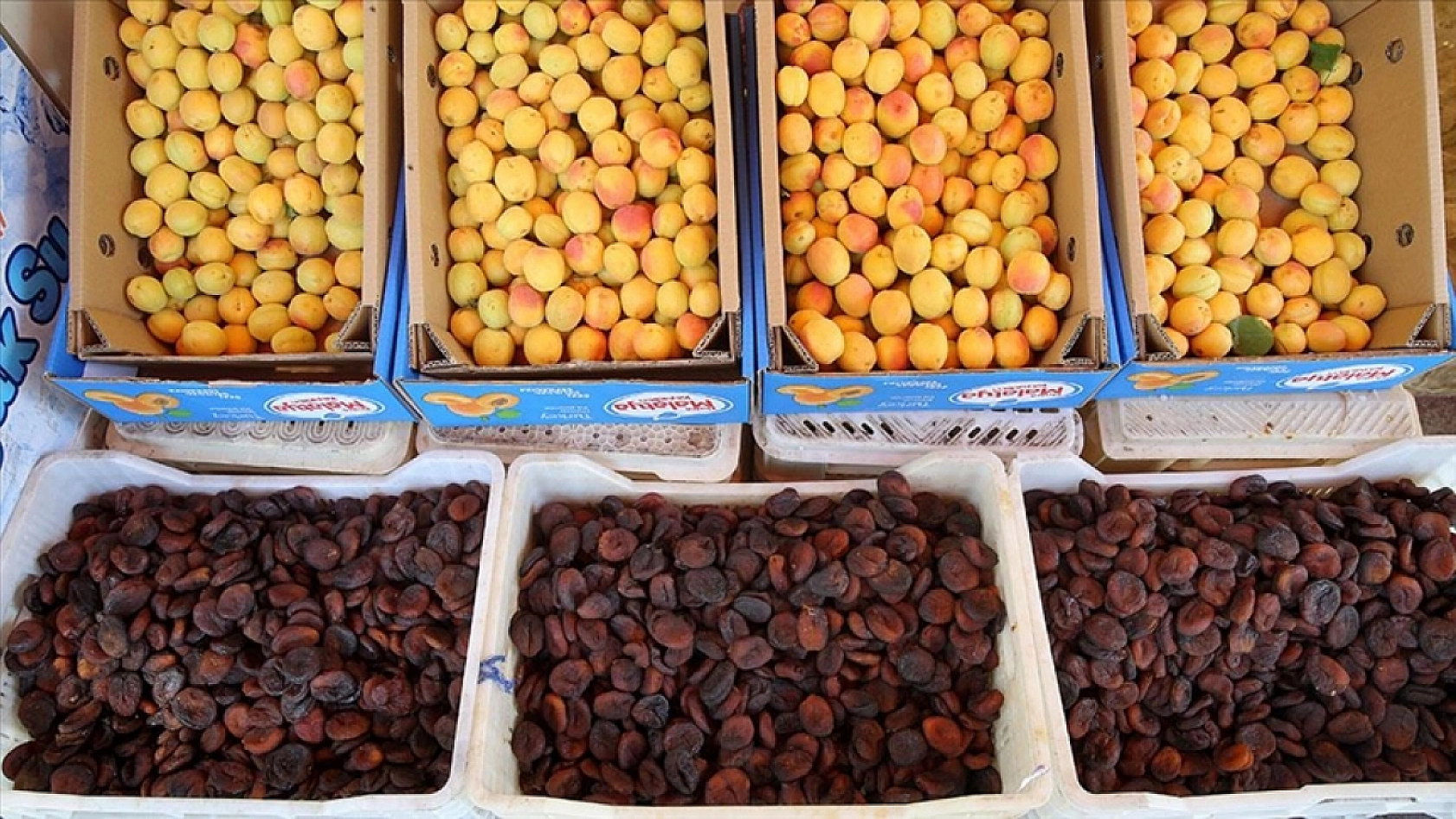 Malatya TMO Önünde İlginç Protesto! Başkan Pikapla Kayısı Sattı!