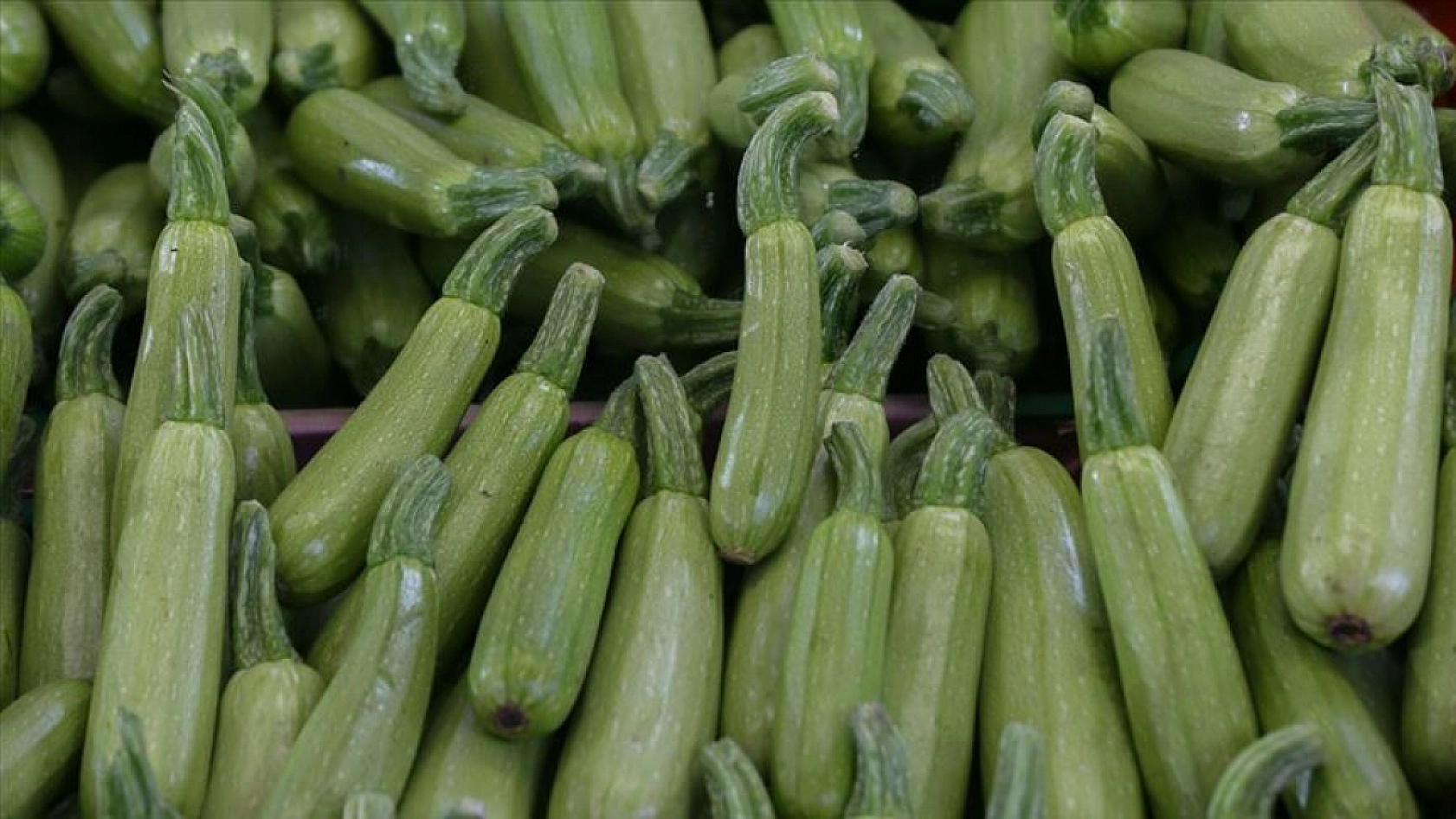 Malatya Hal Pazarı'nda güncel fiyatlar açıklandı: En ucuz ve en pahalı ürünler belli oldu