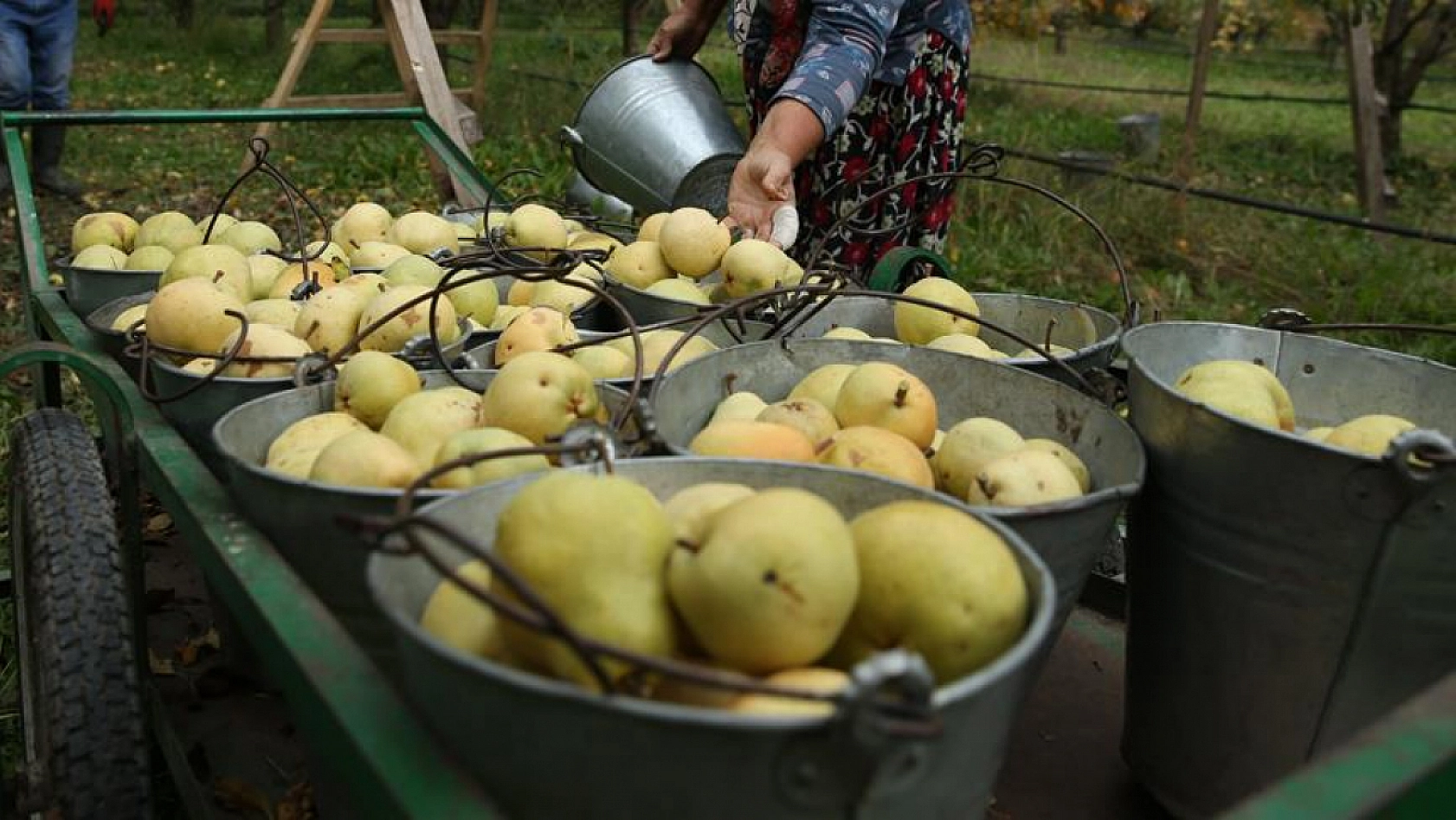 Malatya Hal Pazarı'nda güncel fiyatlar açıklandı: En ucuz ve en pahalı ürünler belli oldu