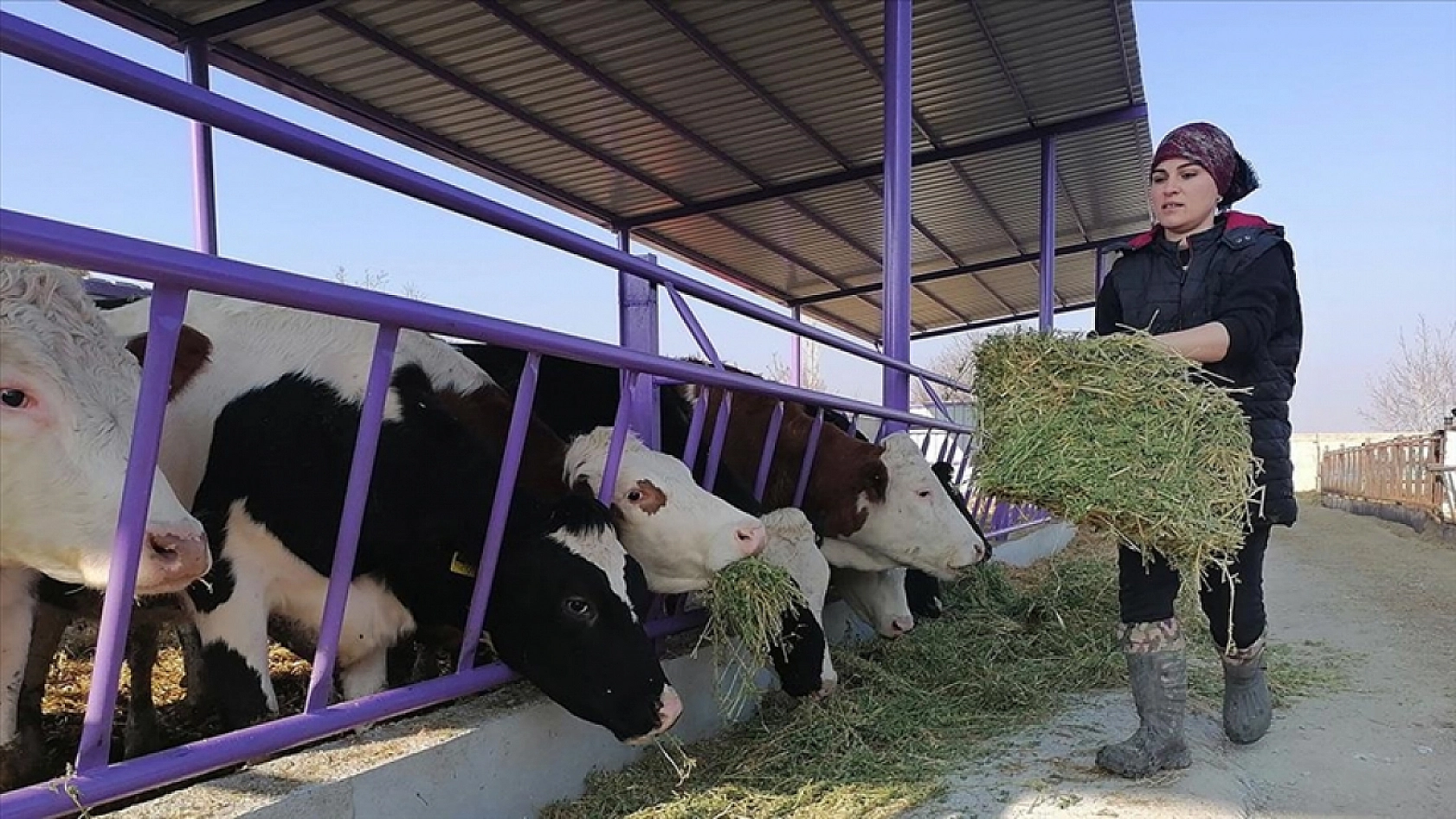 Cumhurbaşkanı Müjdeli Haberi Duyurdu: Üreticiye Dev Destek Geliyor…