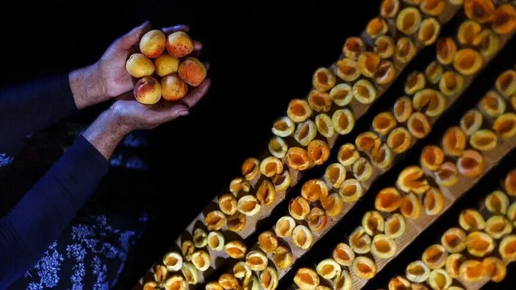 Malatya kayısısı tehlikede: Avrupa tüm ürünleri raftan indiriyor!