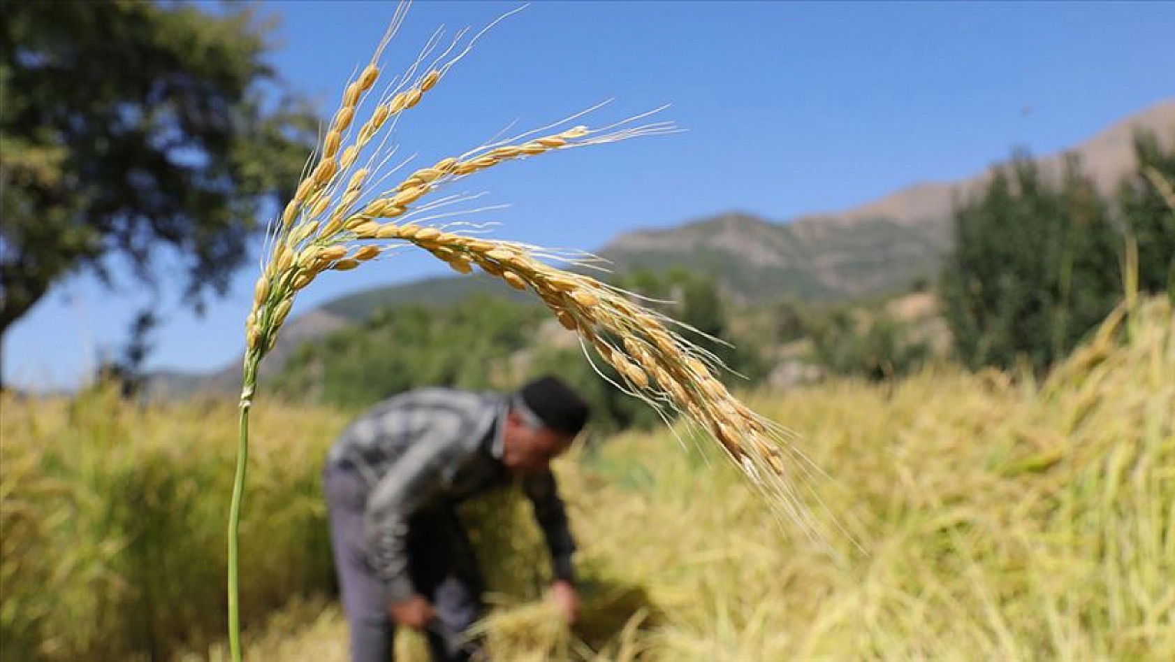 Dondan etkilenen Malatya zirveyi kaptırdı: İşte 2025 yılının enleri!