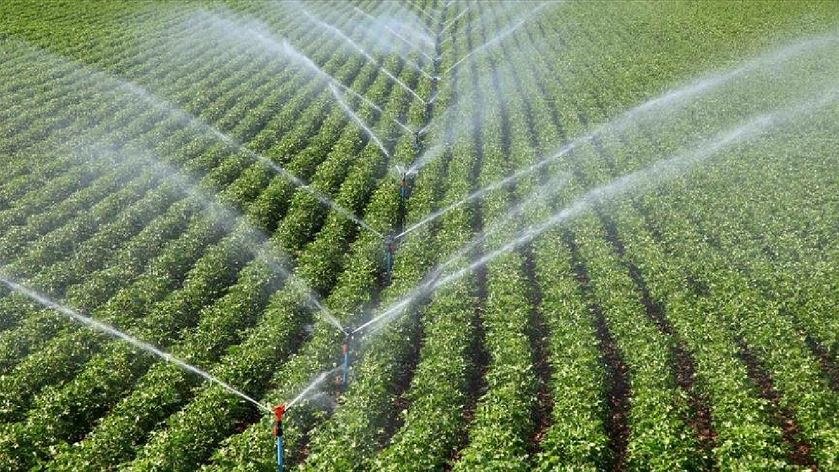 Bakan Yumaklı duyurdu: 500 bin avroya kadar hibe fırsatı geliyor