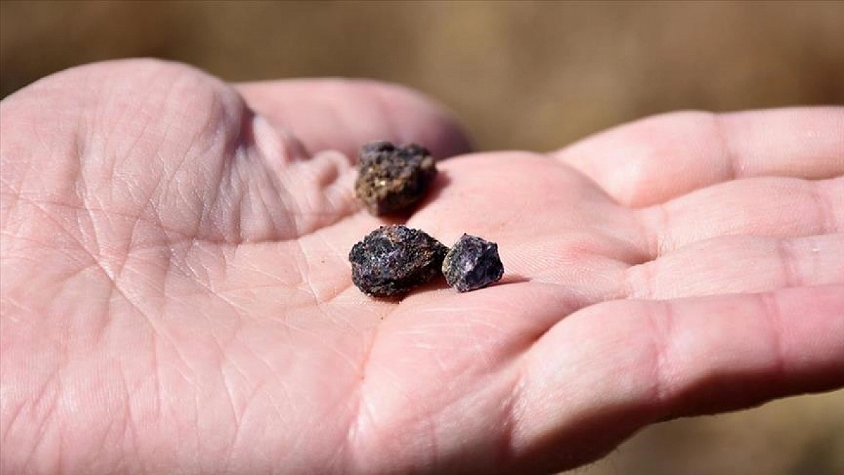 Malatya'da NTE için kritik soru! Ne kazanacak, ne kaybedecek?