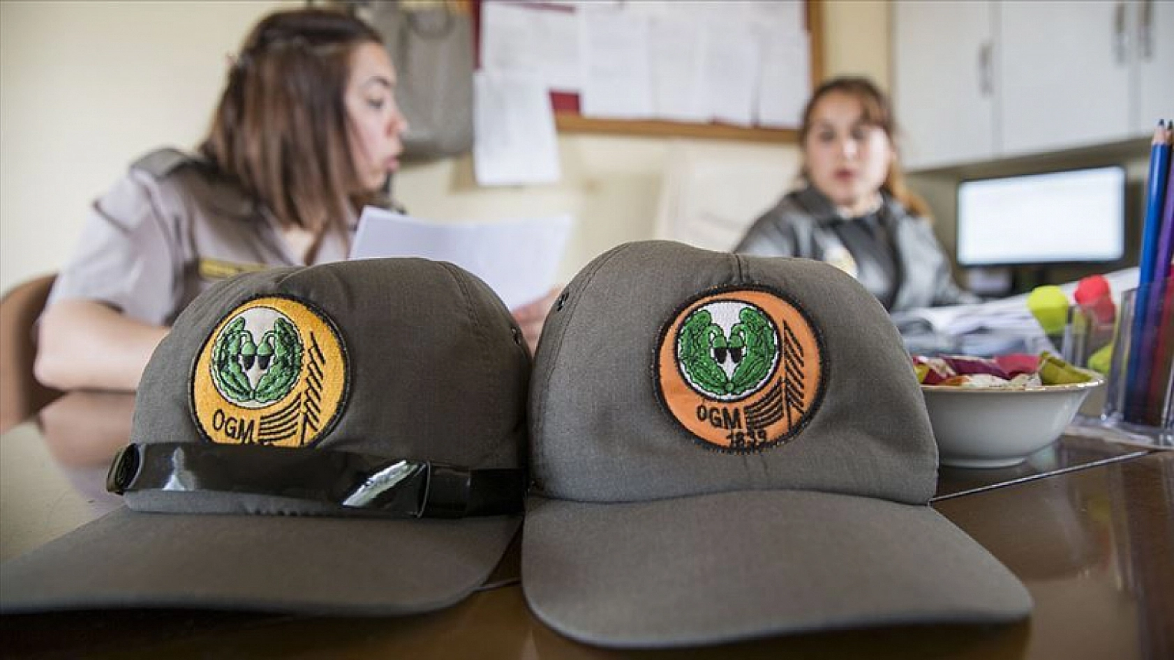 Orman Genel Müdürlüğüne Personel Alımı İçin Geri Sayım Başladı: Mühendis, Şoför ve Büro Memurları Başvuru Yapabilecek...