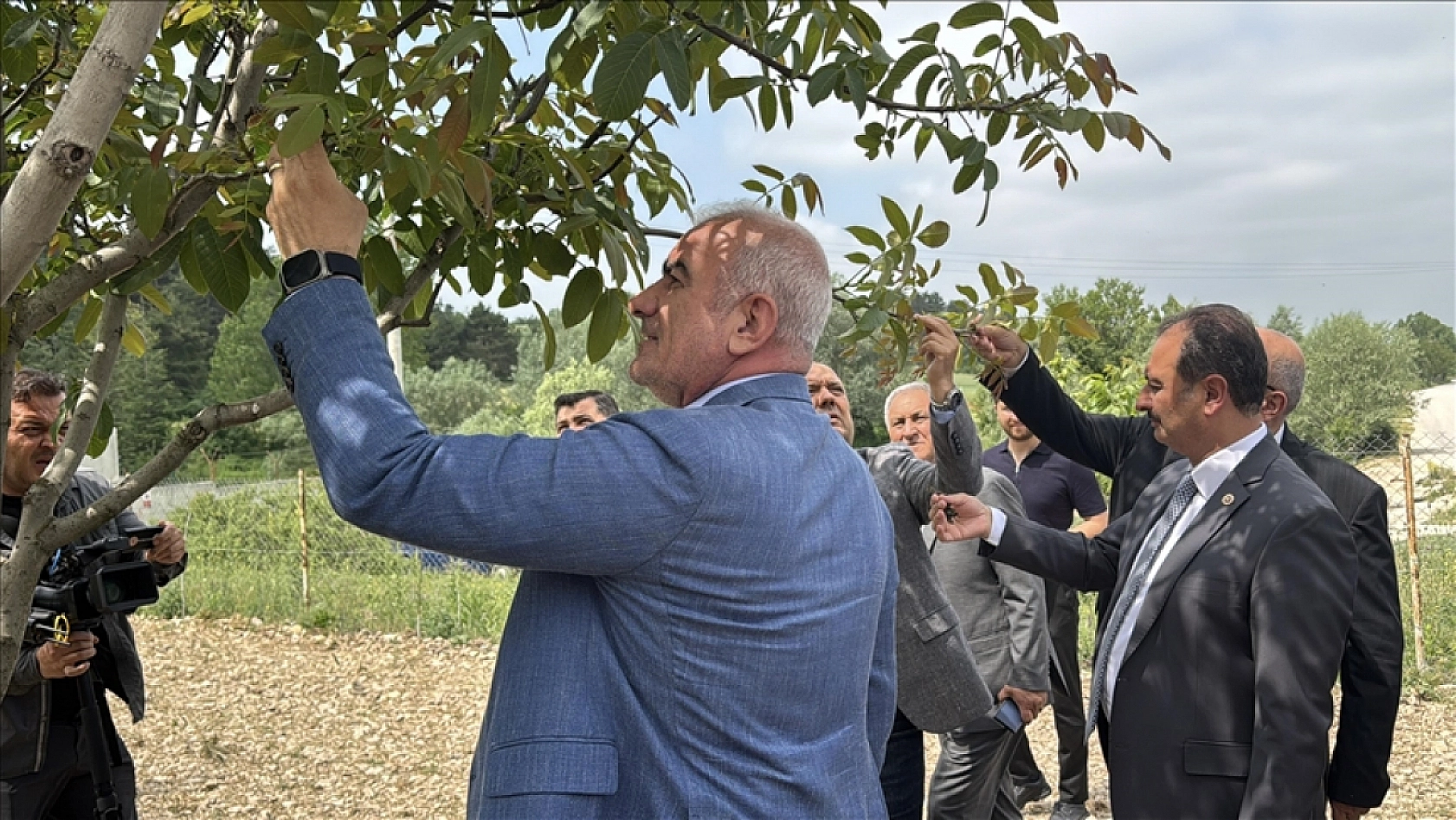 Zirai don destek ödemelerinde kriterler belirlendi! Peki hasar oranı yüzde 20 altında olanlar ne kadar alacak!