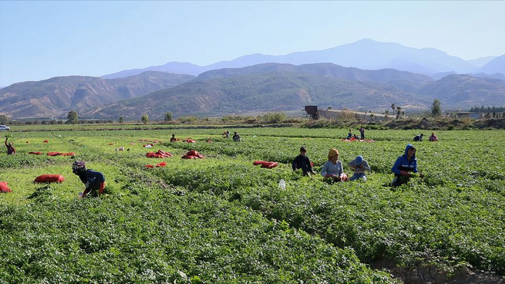 Malatya'da yevmiye ücretleri belli oldu!